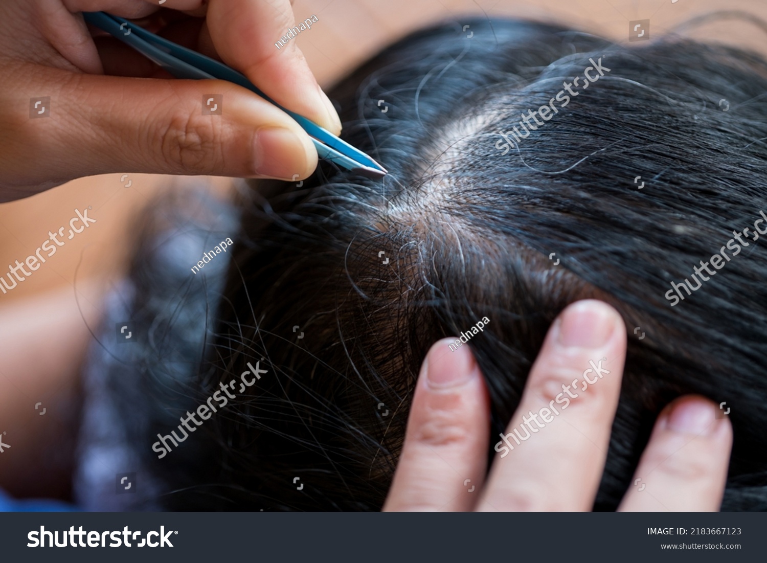 Woman Hands Plucking Removing Gray Hair Stock Photo 2183667123 ...