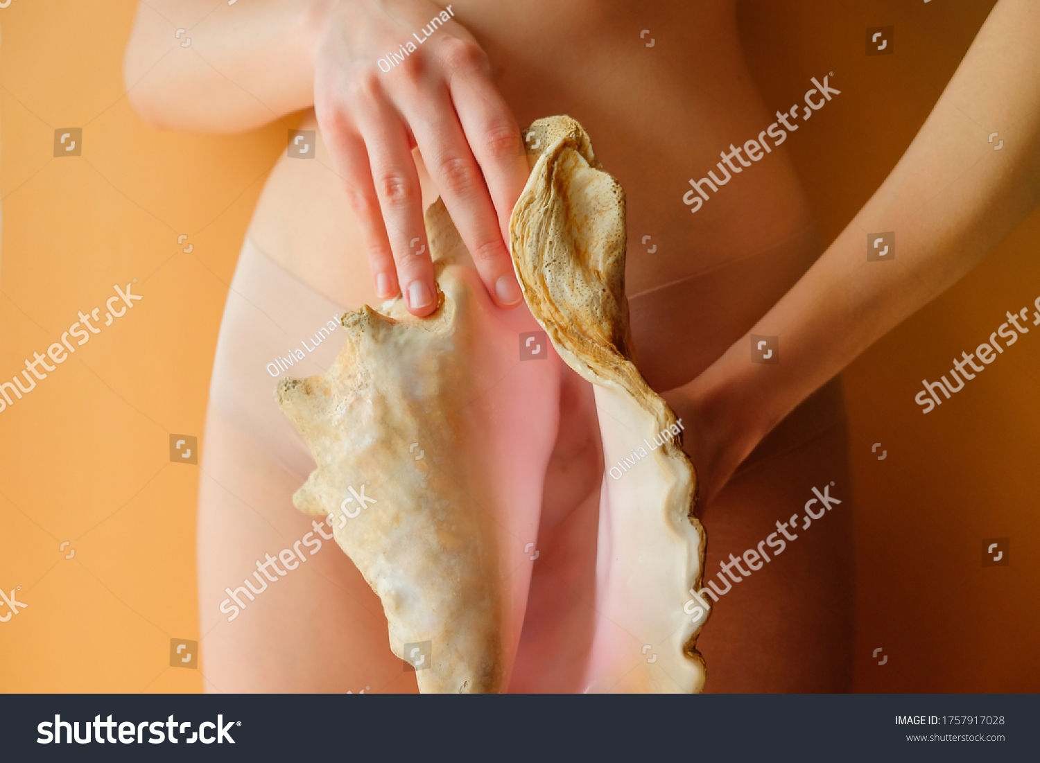 Olivia shell nude