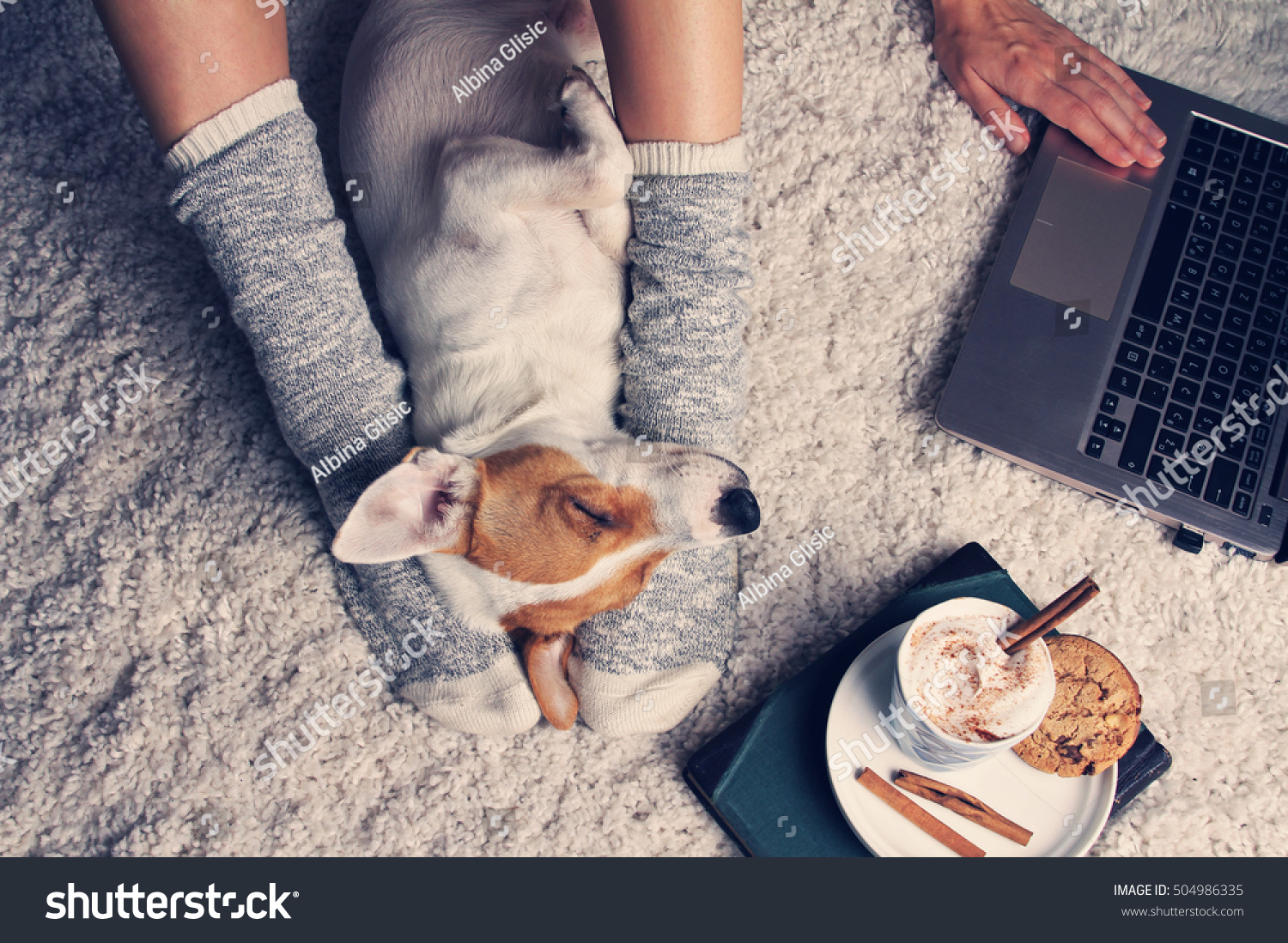 23,858 Drinking coffee with dog Images, Stock Photos & Vectors ...