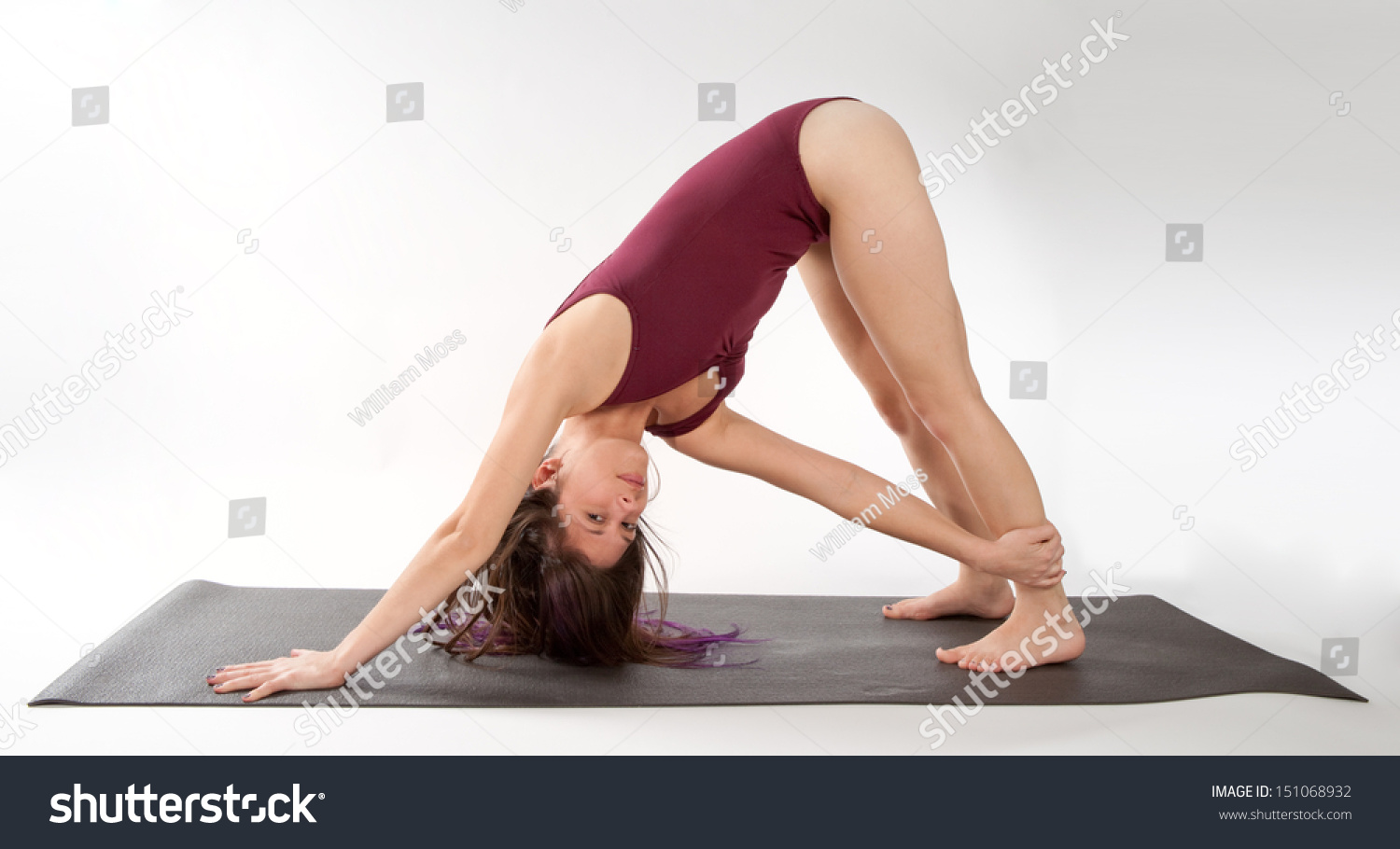 Downward Facing Dog Twist Downward Facing Dog Twist
