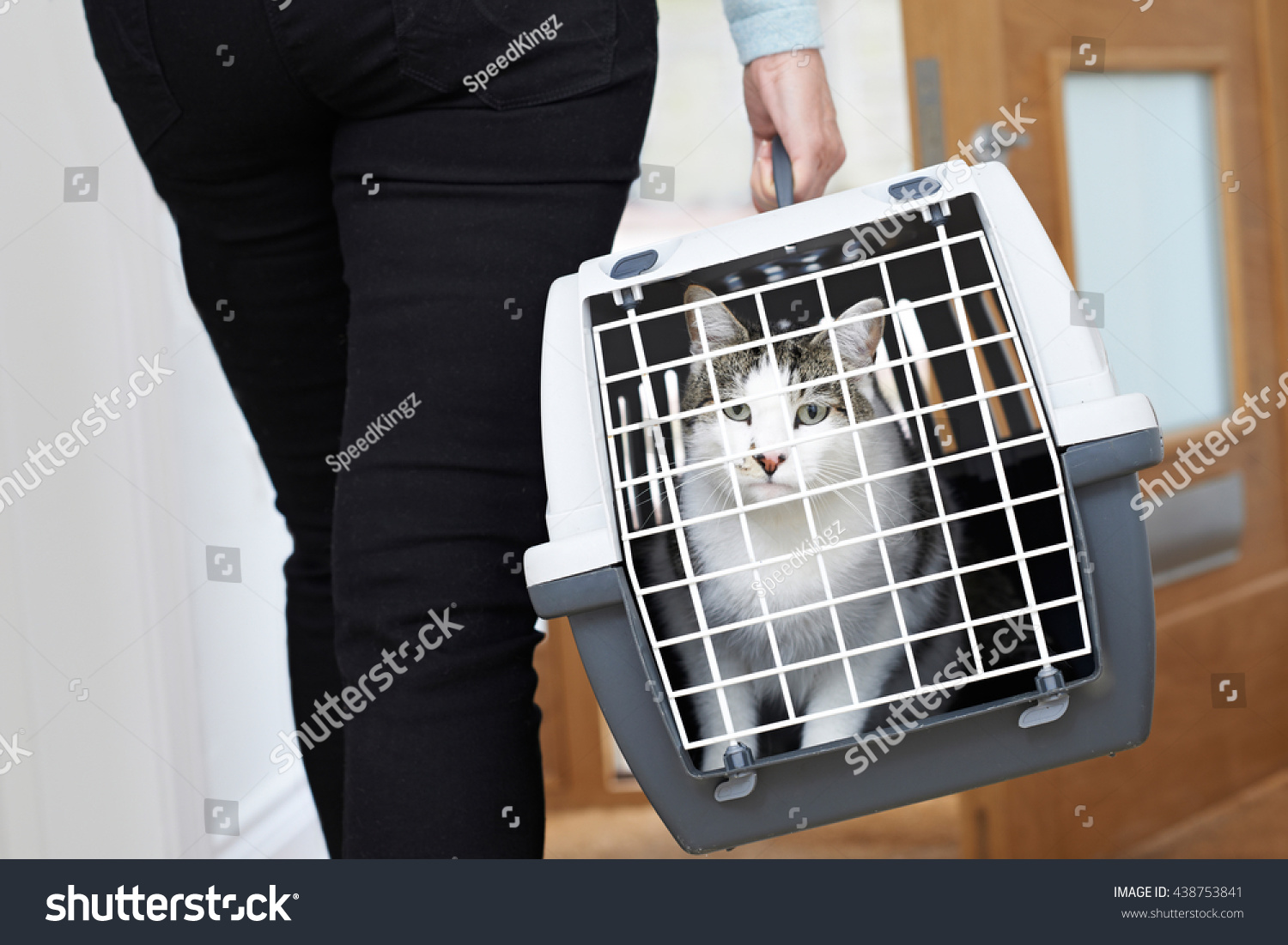 Woman Taking Pet Cat Vet Carrier Stock Photo (Edit Now) 438753841