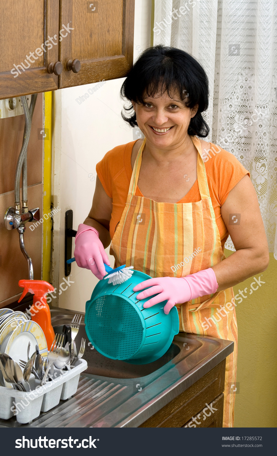 Woman Washing Dishes In The Kitchen Stock Photo 17285572 : Shutterstock