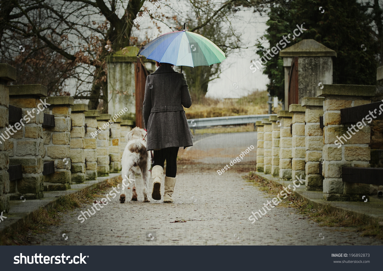 best umbrella for dog walking