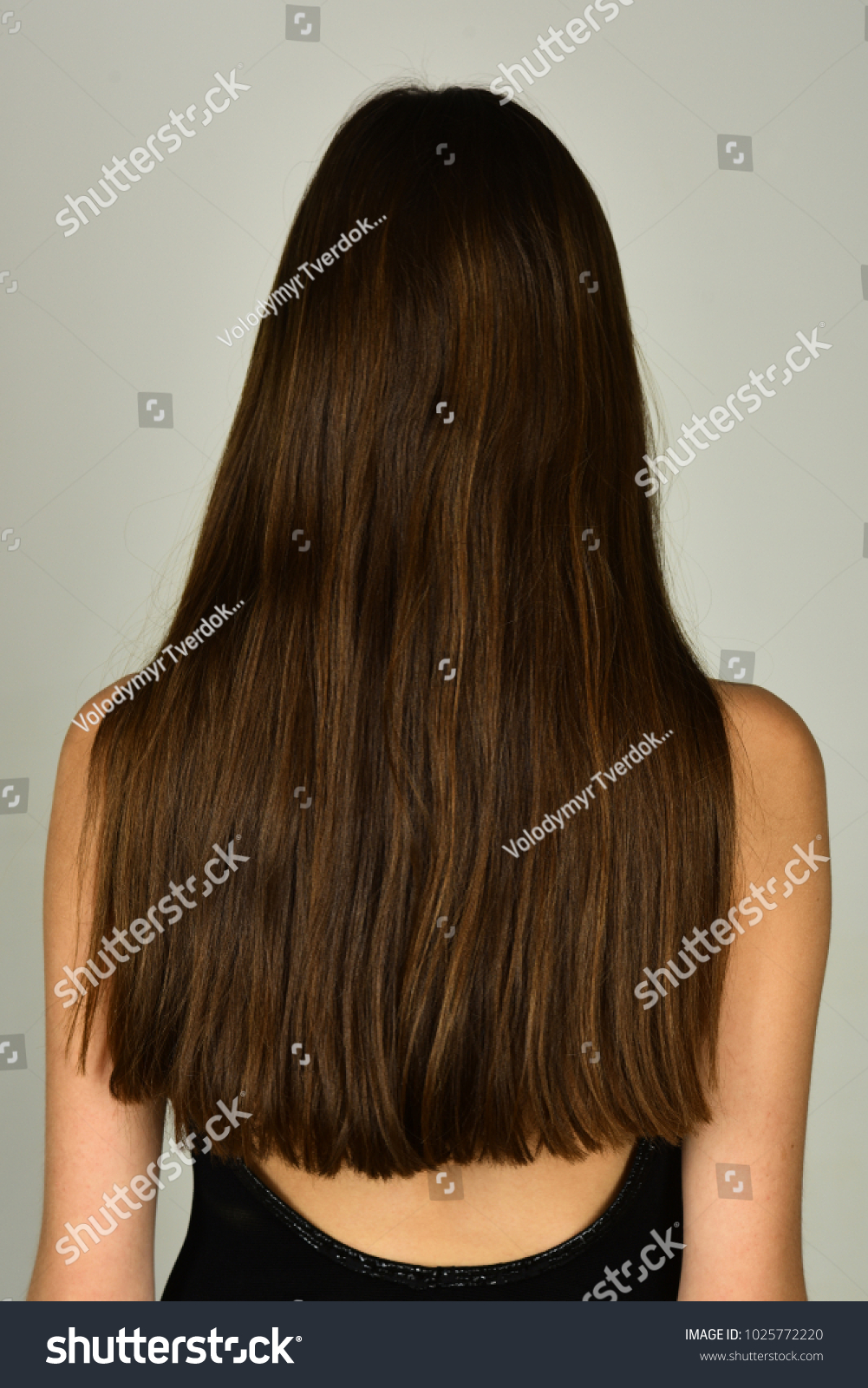 Woman Long Brunette Hair Back View Stock Photo Edit Now 1025772220