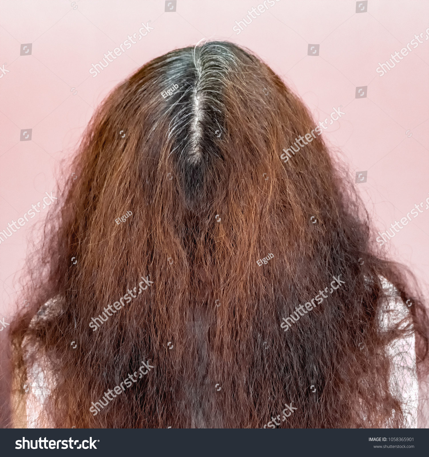 Womens Thick Curly Gray Hair Roots Stock Photo Edit Now 1058365901