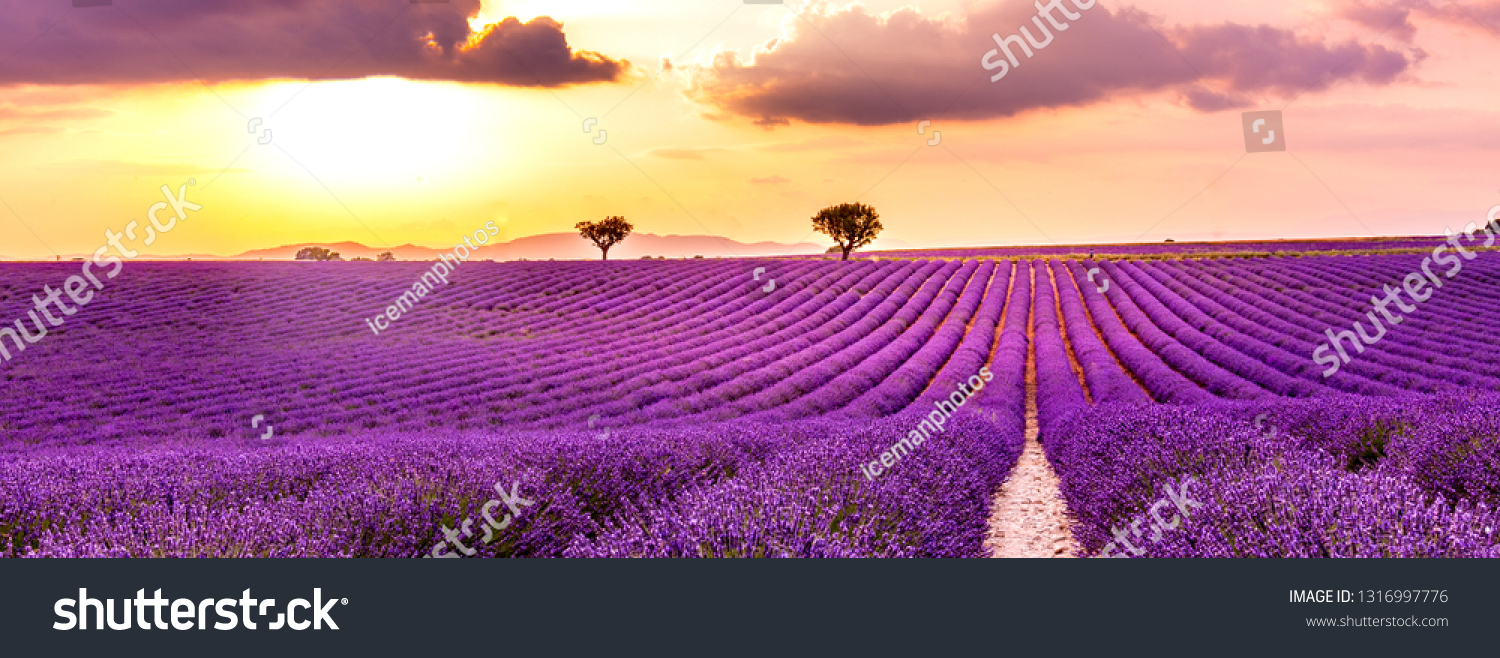 150,977 Provence landscape Images, Stock Photos & Vectors | Shutterstock