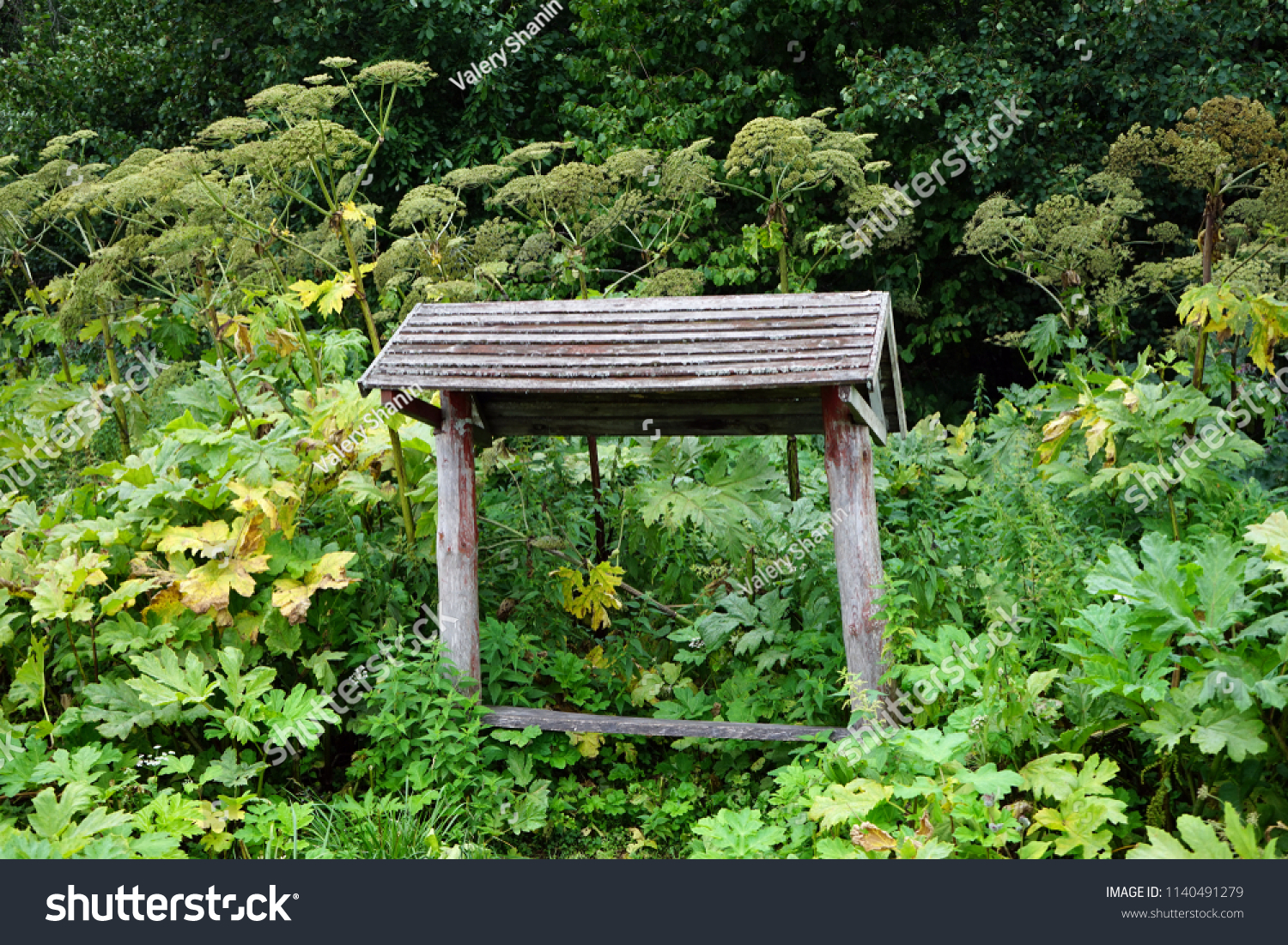Wooden Bench Under Roof Near Grass Stock Photo Edit Now 1140491279