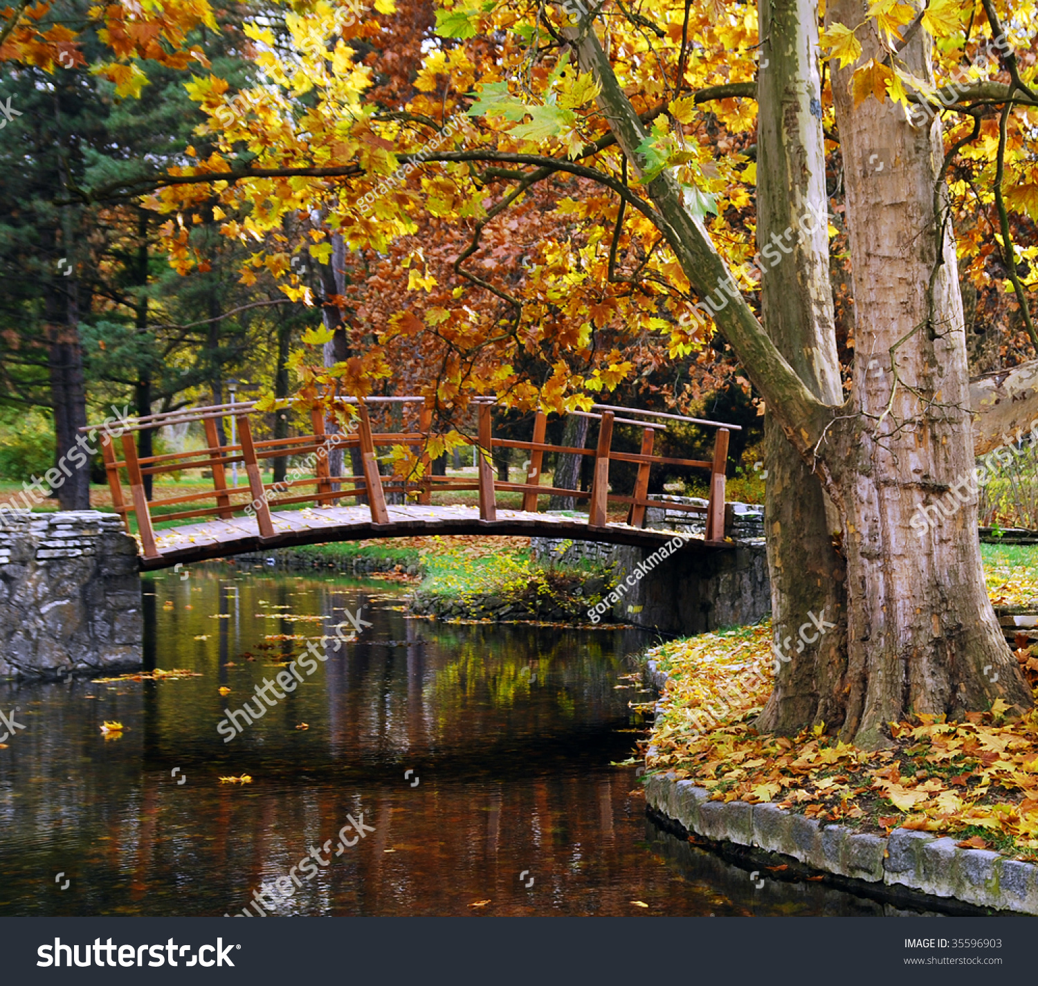 Wooden Bridge At The Park In Autumn Stock Photo 35596903 : Shutterstock