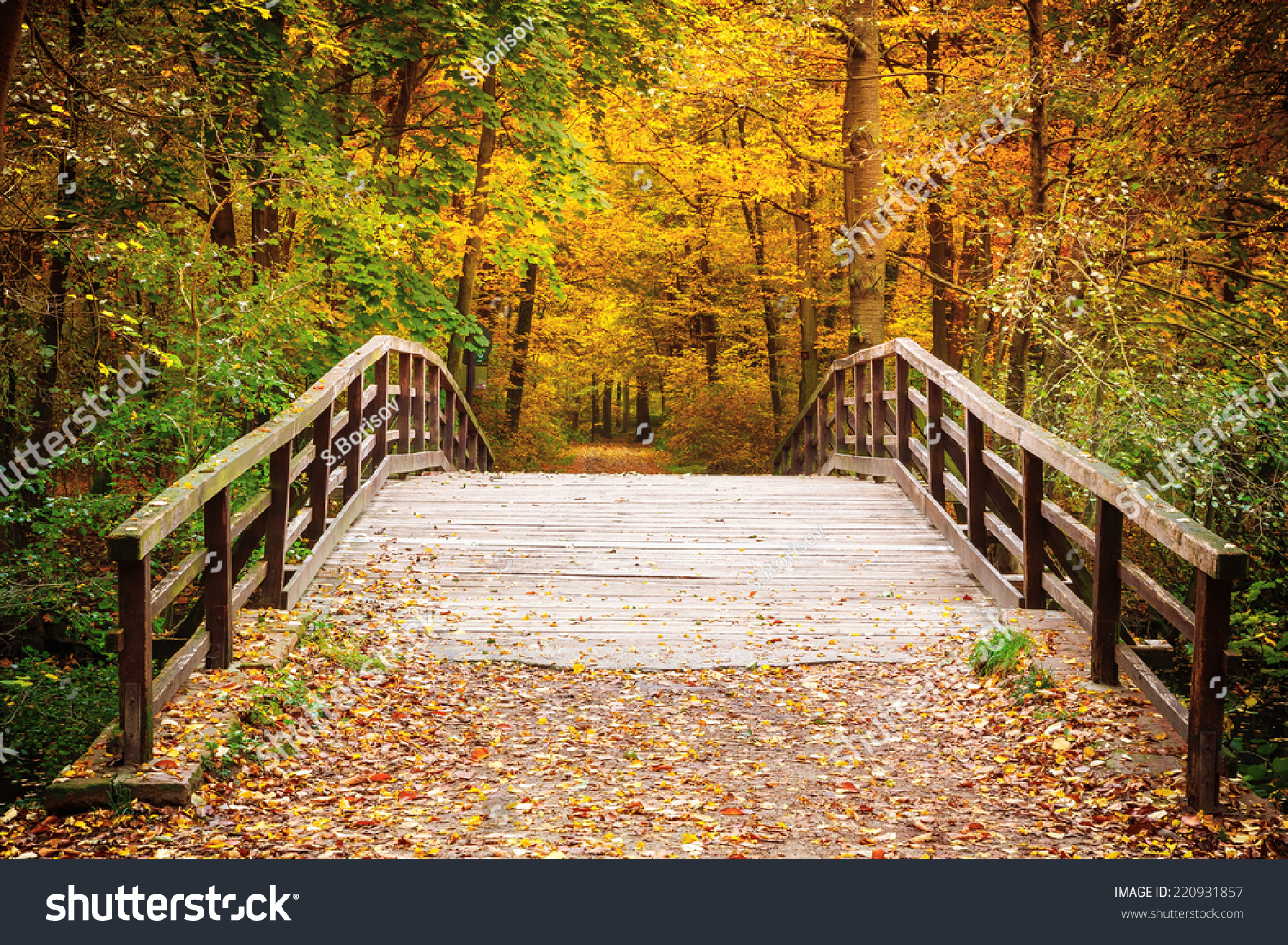 Wooden Bridge In The Autumn Forest Stock Photo 220931857 : Shutterstock