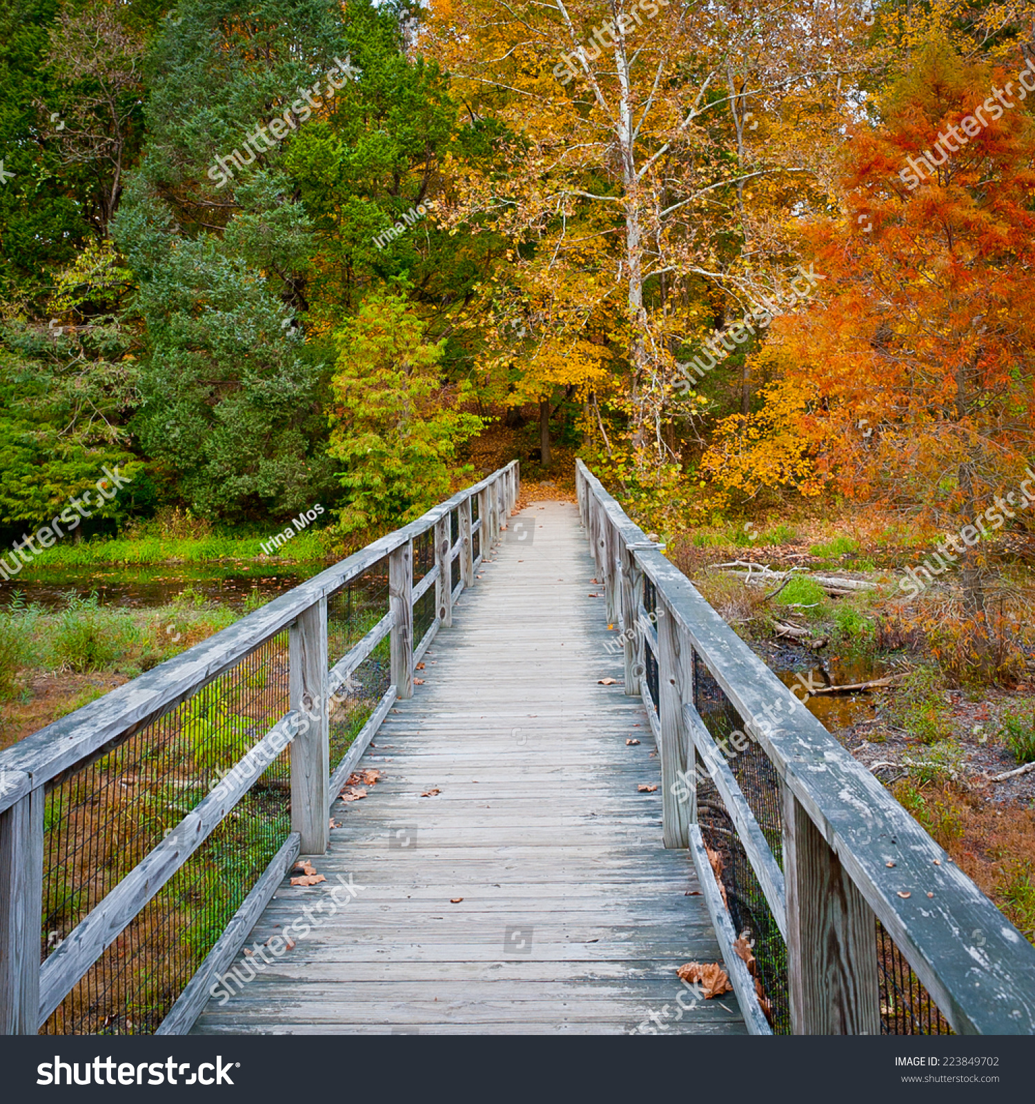 Wooden Bridge Over Creek In Autumn Forest. Arboretum And Research ...