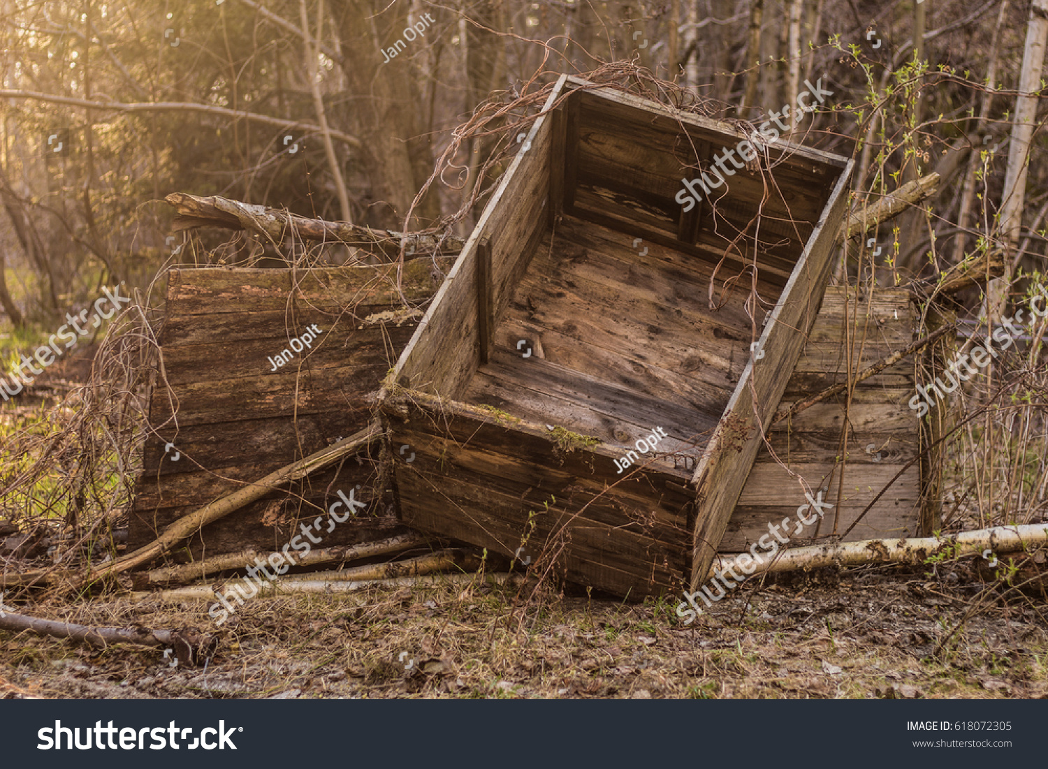 Wooden Crate Sunny Forest Garden Stock Photo Edit Now 618072305