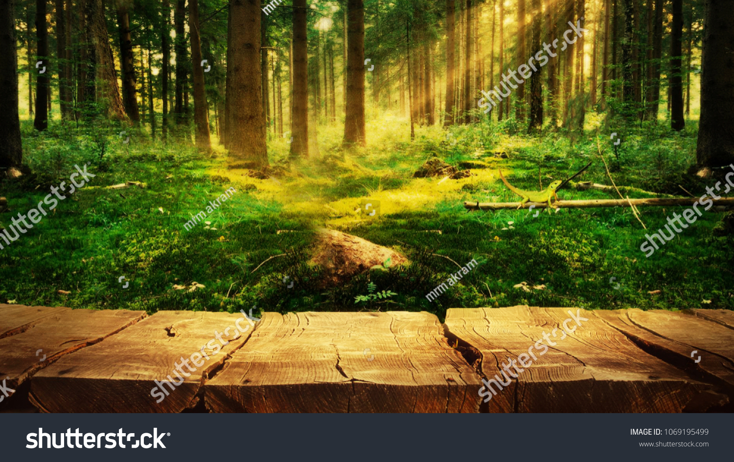 Wooden Empty Table Beautiful Forest Background Stock Photo Edit Now