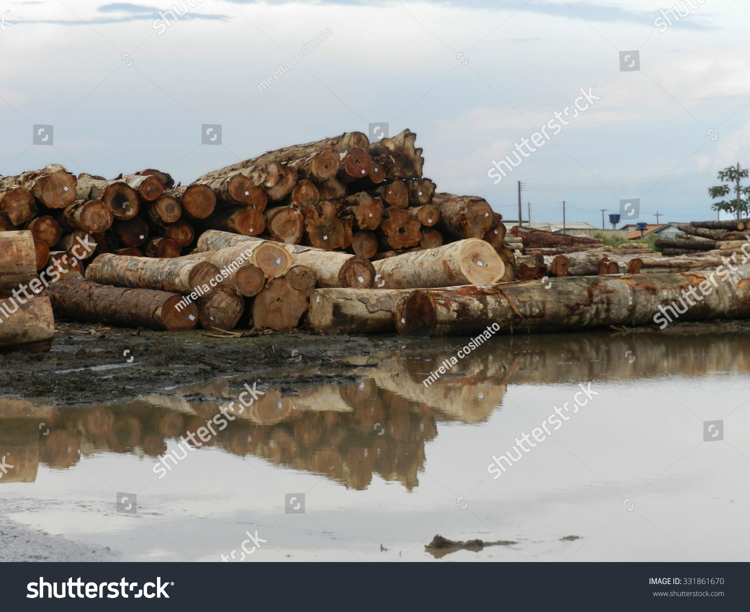 Garapeira Images, Stock Photos & Vectors | Shutterstock