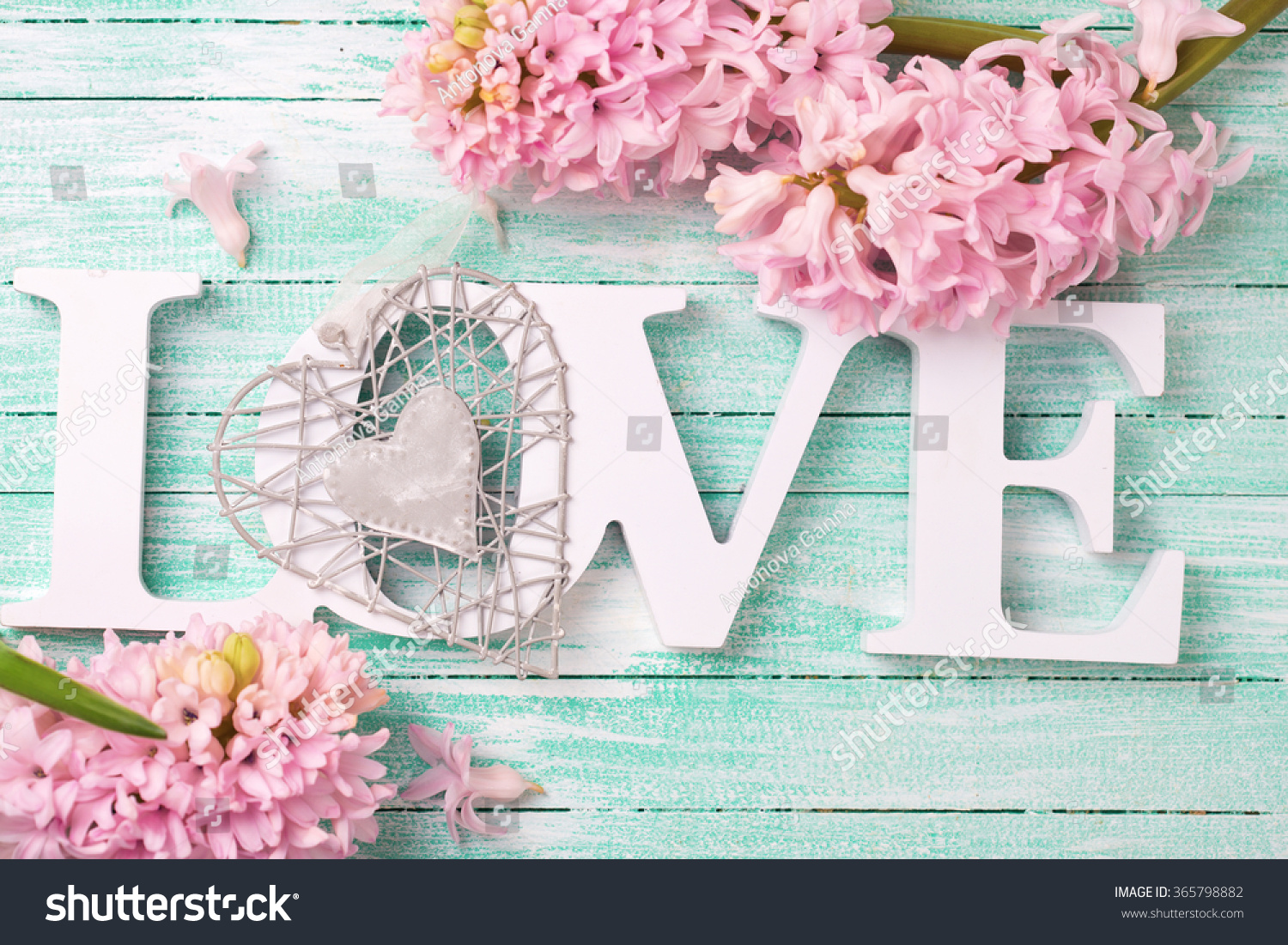 Word Love Pink Flowers Hyacinths Decorative Stock Photo Edit Now
