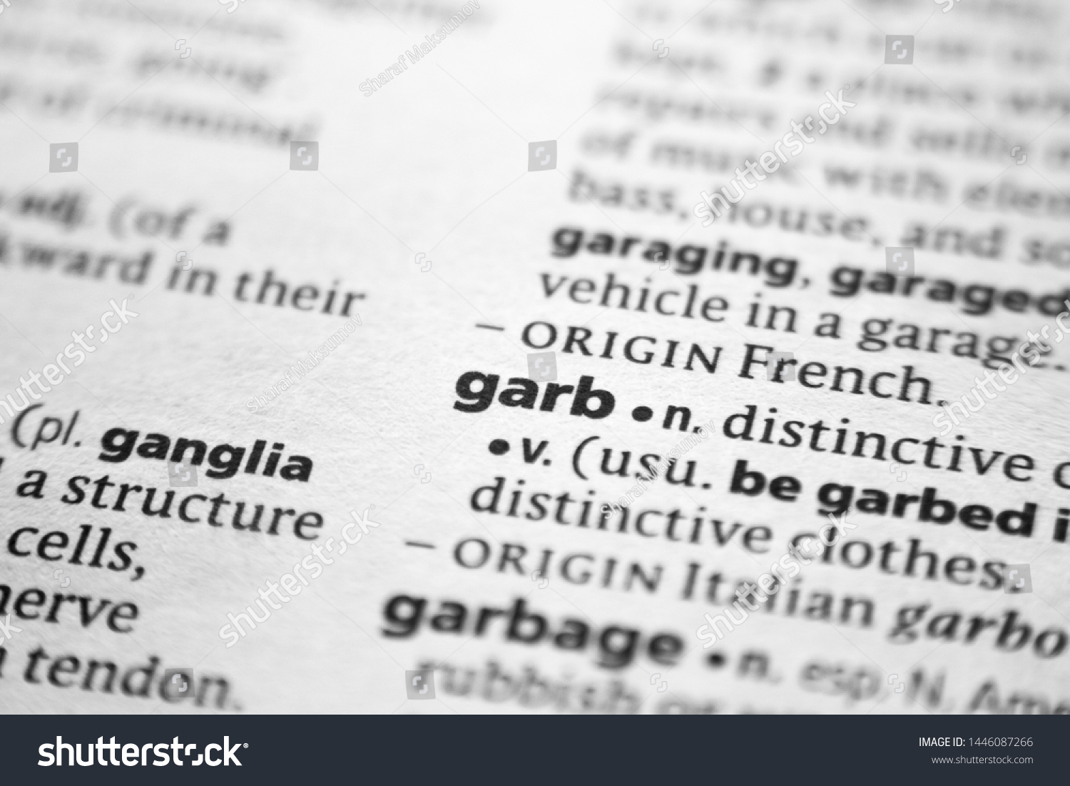 Word Phrase Garb Dictionary Stock Photo Edit Now 1446087266