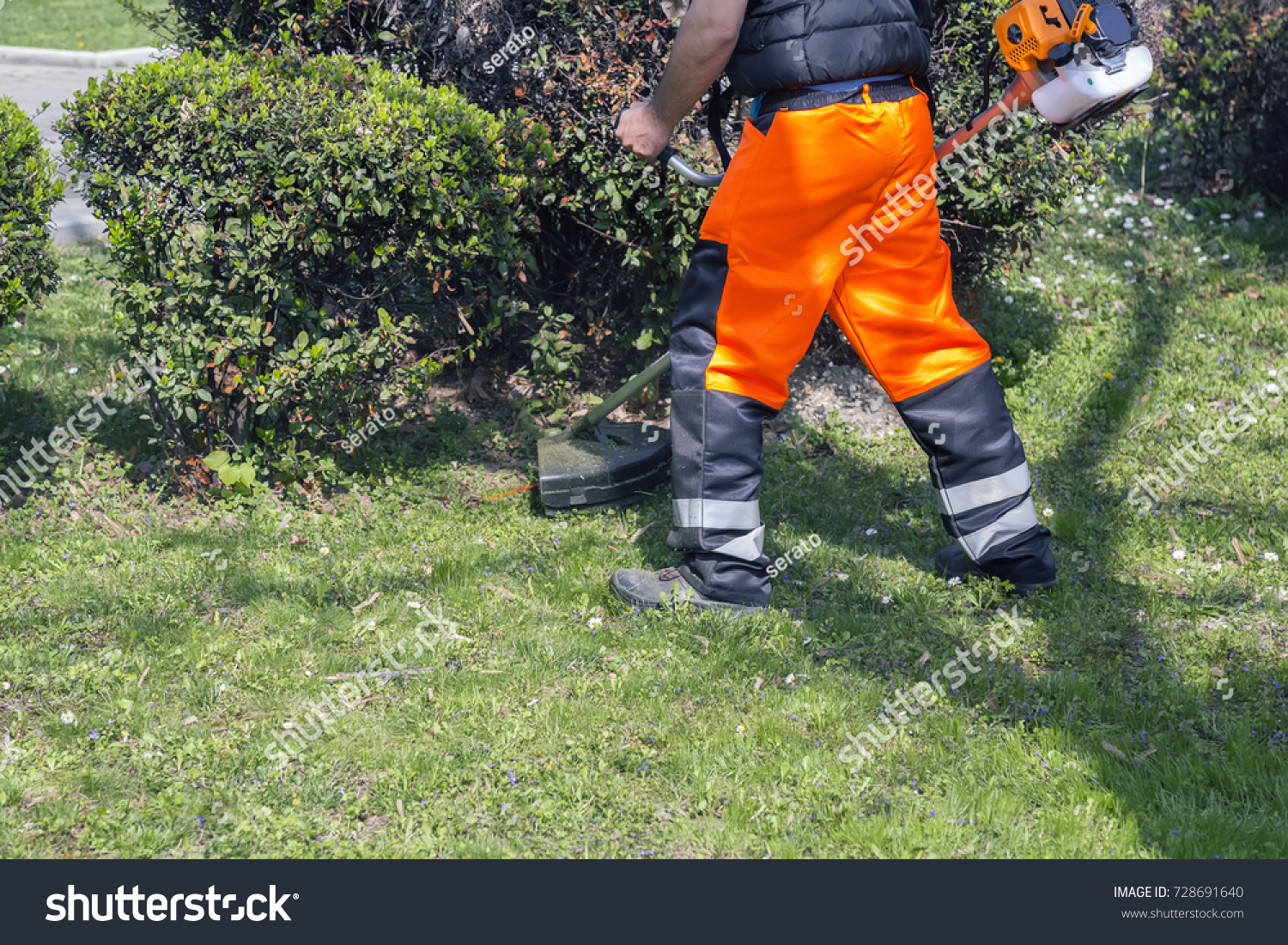 petrol weed eater