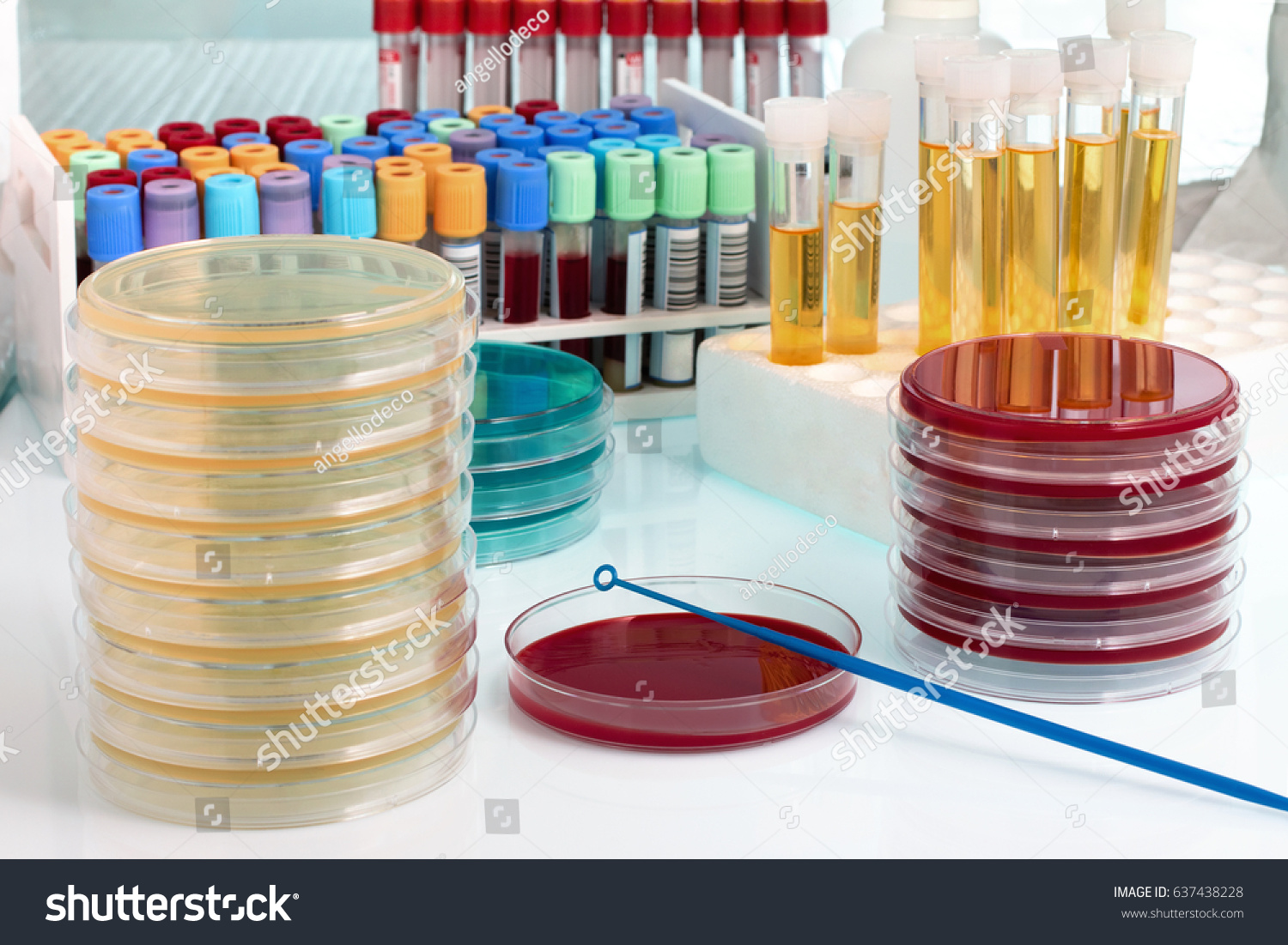 Working Table Analysis Lab Workbench Biological Stock Photo (Edit Now ...