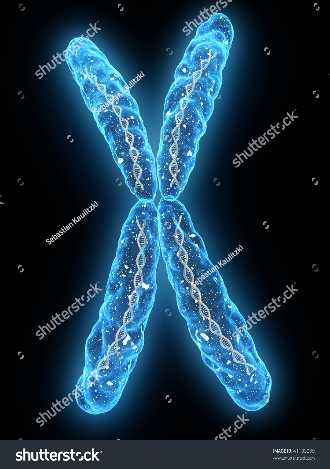 X Chromosome Stock Photo 41183299 : Shutterstock