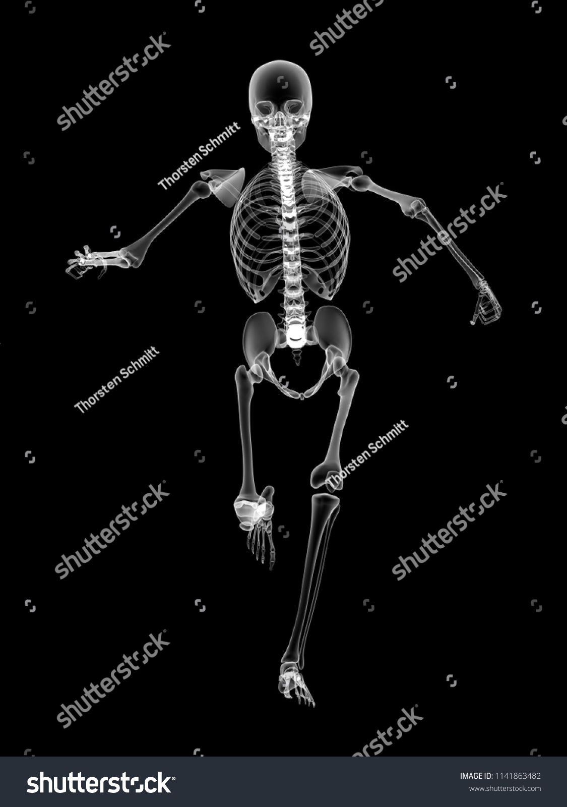 X Ray Human Body 3d Render Stock Illustration 1141863482 Shutterstock