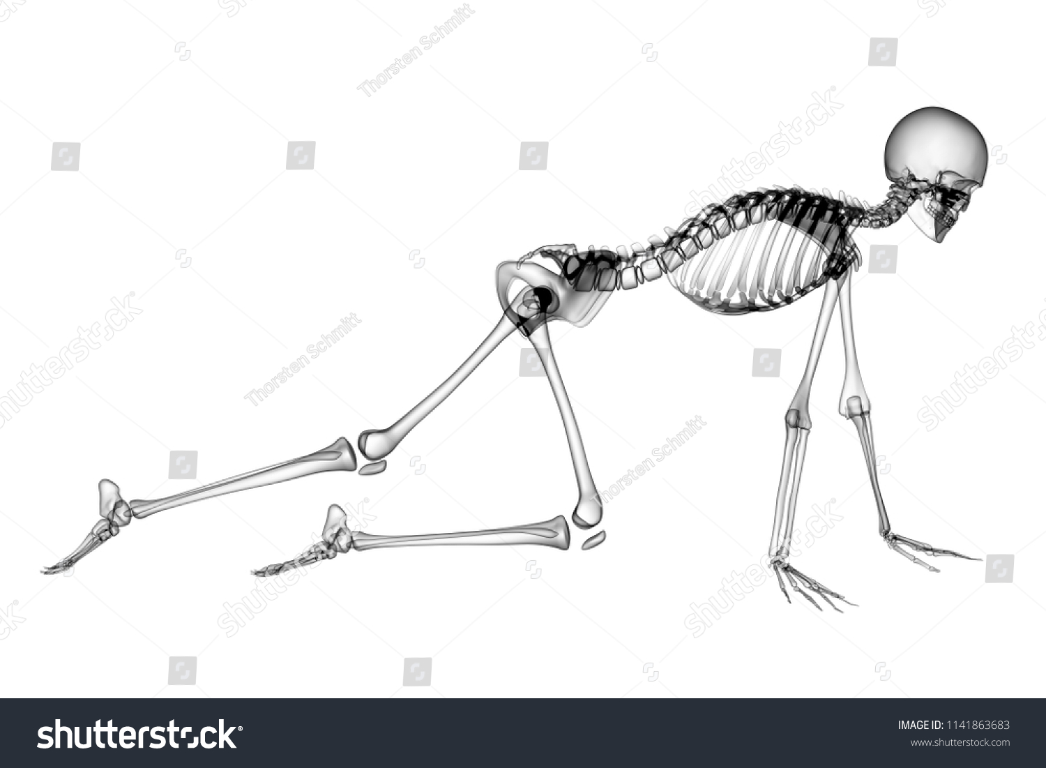 X Ray Human Body 3d Render Stock Illustration 1141863683 Shutterstock