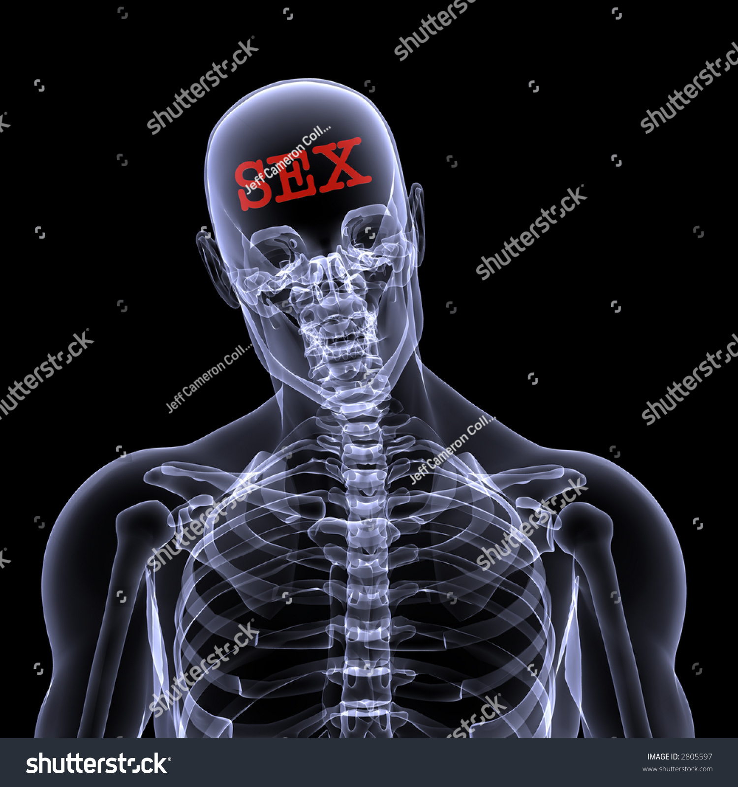 Xray Male Skeleton Thinking About Sex Stock Illustration