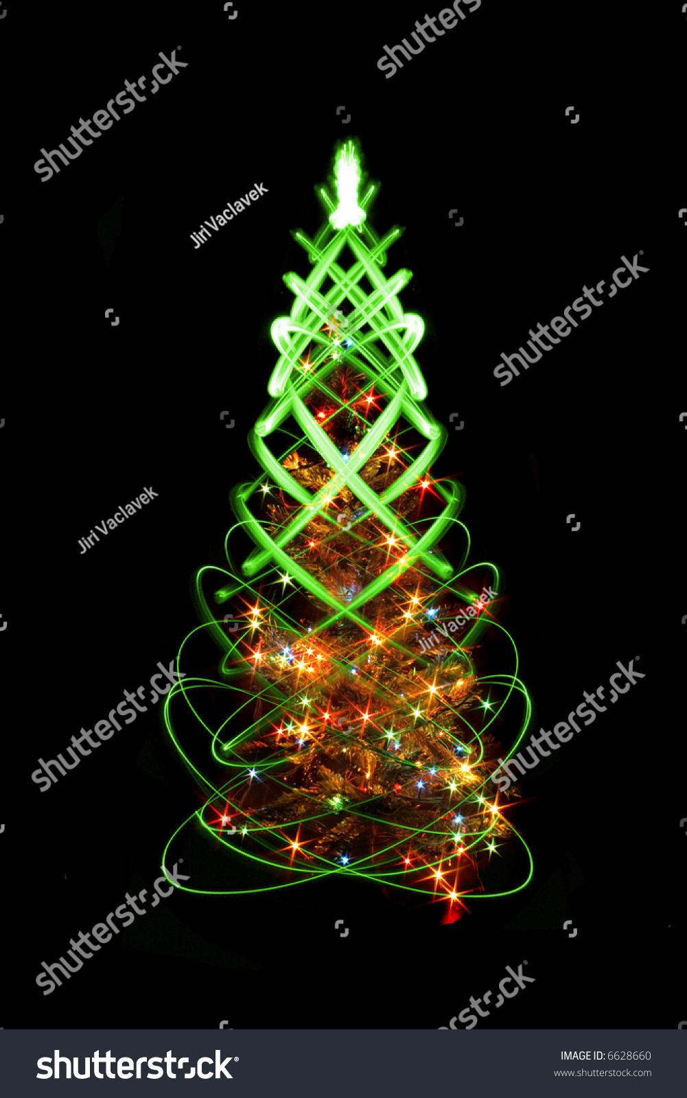 Xmas Tree Stock Photo 6628660 : Shutterstock