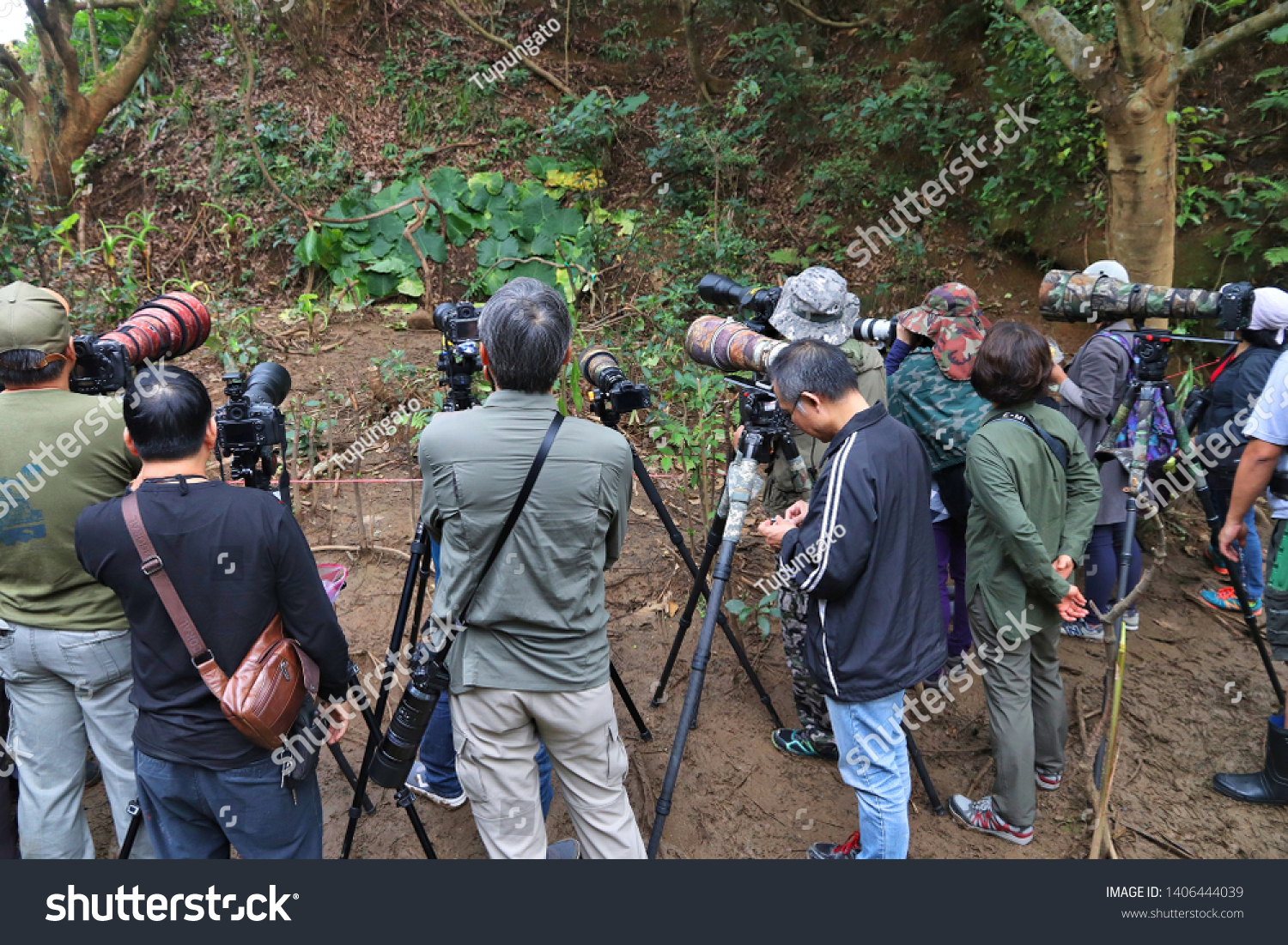 Yehliu Taiwan November 24 2018 Bird Stock Photo Edit Now 1406444039