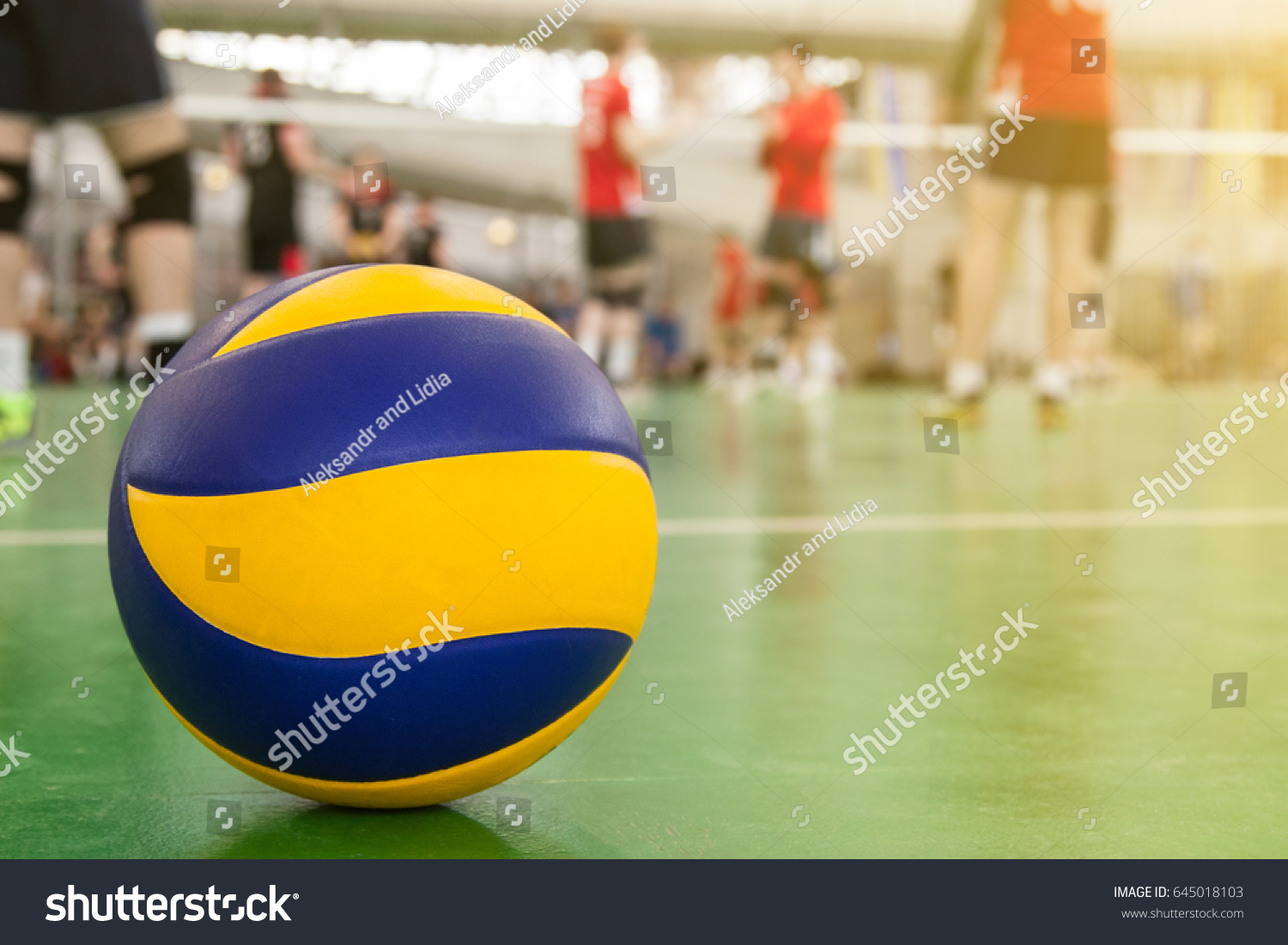 303 High school volleyball court Images, Stock Photos & Vectors ...