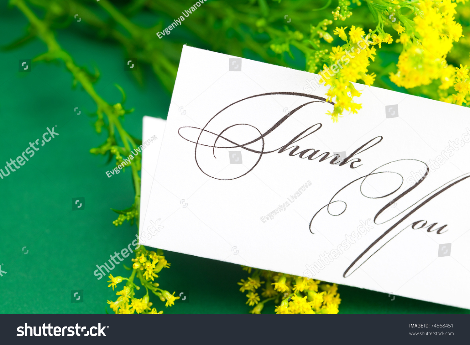 Yellow Field Flower And Card Signed Thank You On Green Background Stock ...