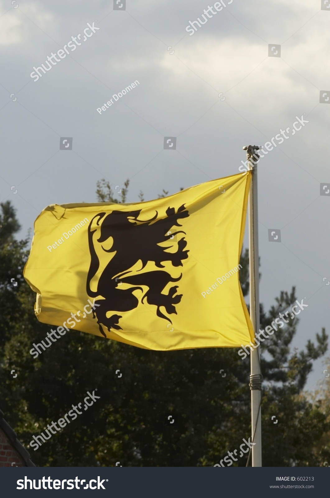 Yellow Flag With Black Lion Stock Photo 602213 : Shutterstock