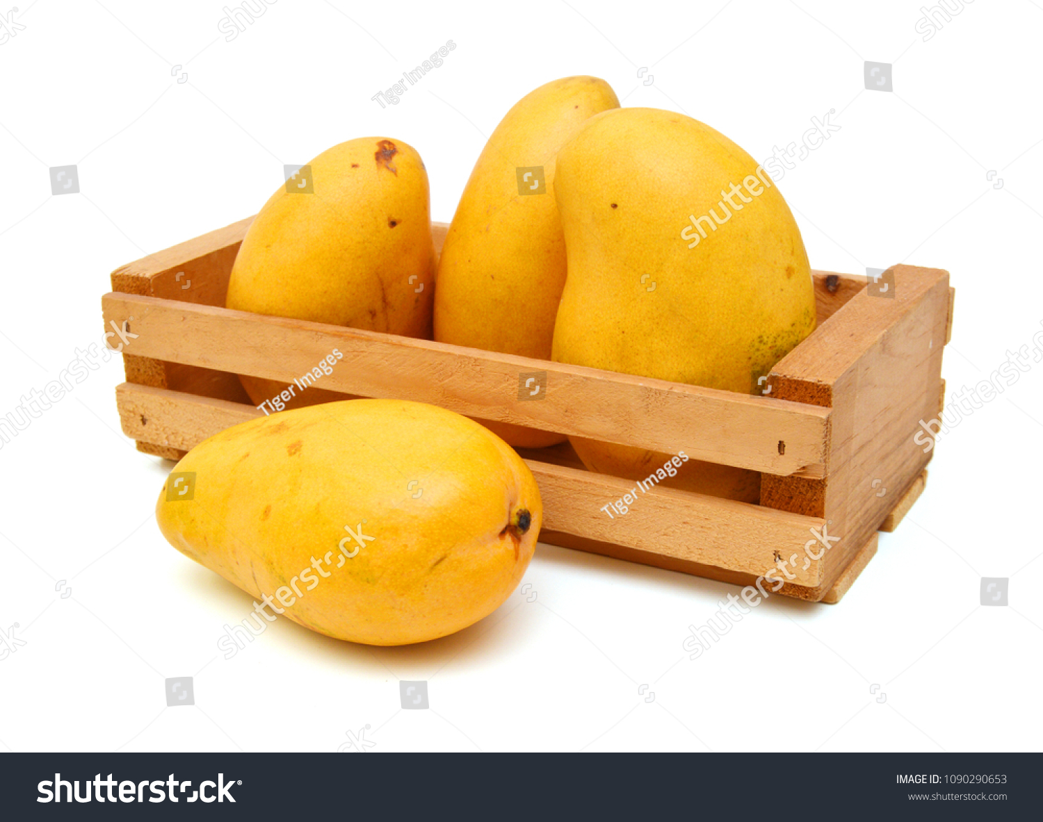 Yellow Mango Isolated Wooden Crate On Food And Drink Stock Image 1090290653