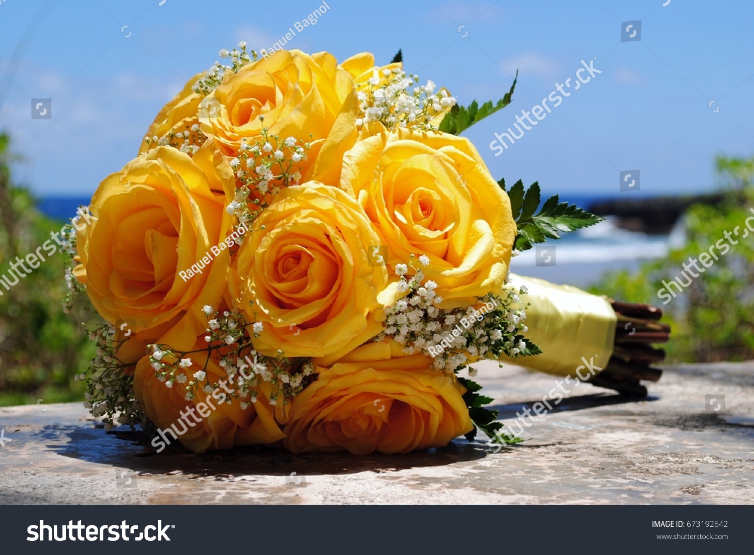Download Yellow Roses Bridal Bouquet Side Shot Stock Photo Edit Now 673192642 PSD Mockup Templates