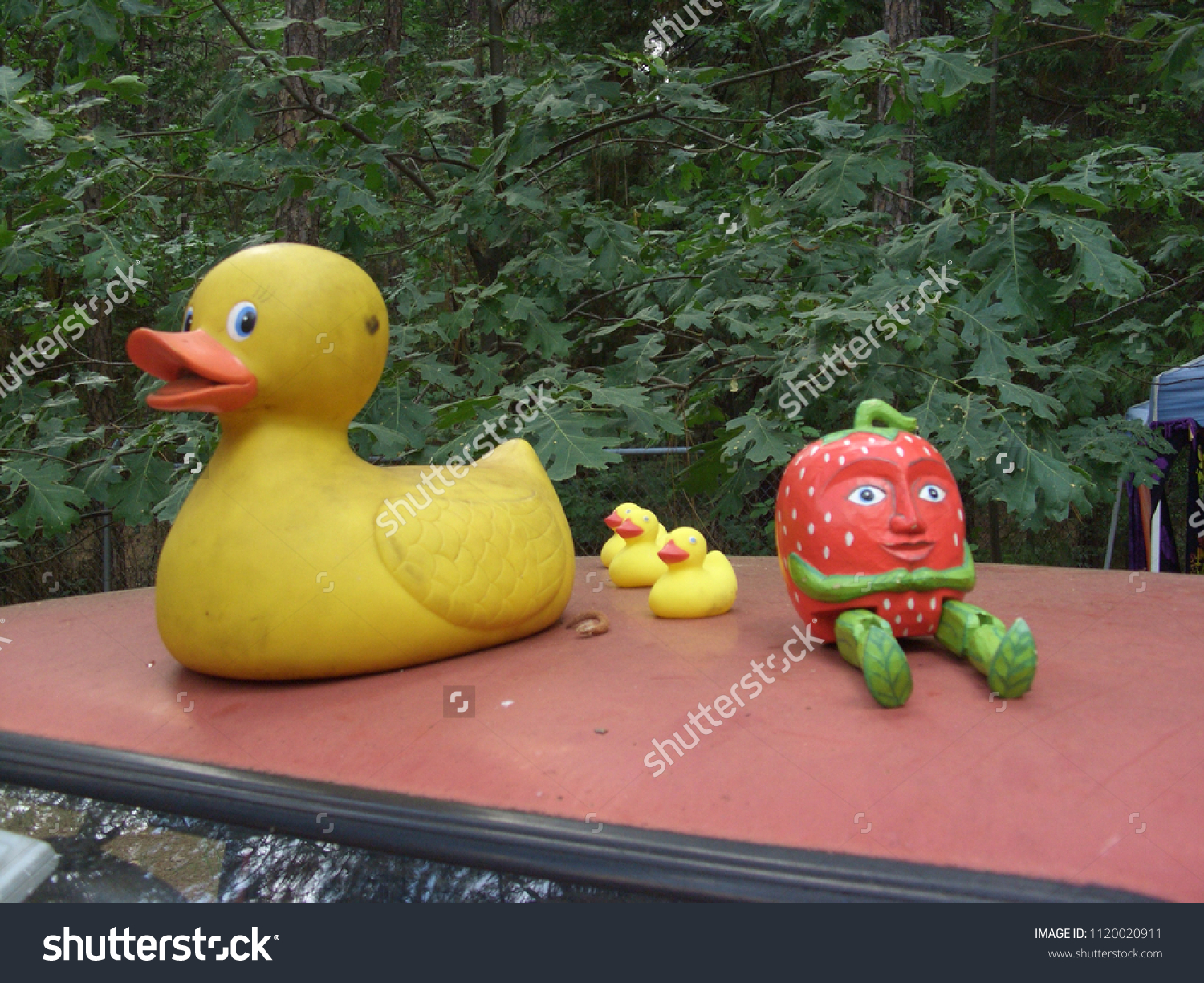 Yellow Rubber Ducks Wooden Strawberry Decoration Stock Photo Edit Now 1120020911 - rubber ducky song roblox id