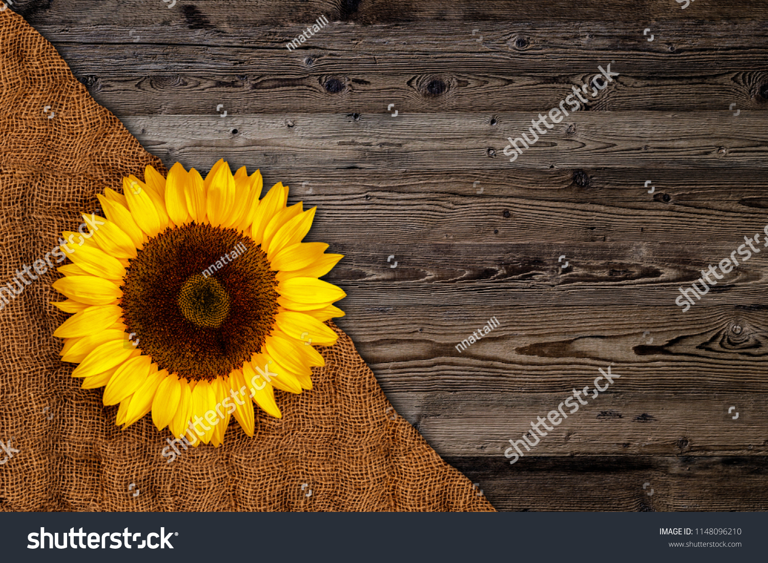 sunflower yellow burlap