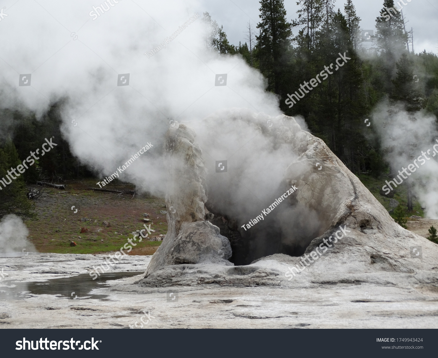 A Close up of Boiling Water in Yellowstone National Park ts_320275 Adult T-Shirt XL 3dRose Jos Fauxtographee- Geyser