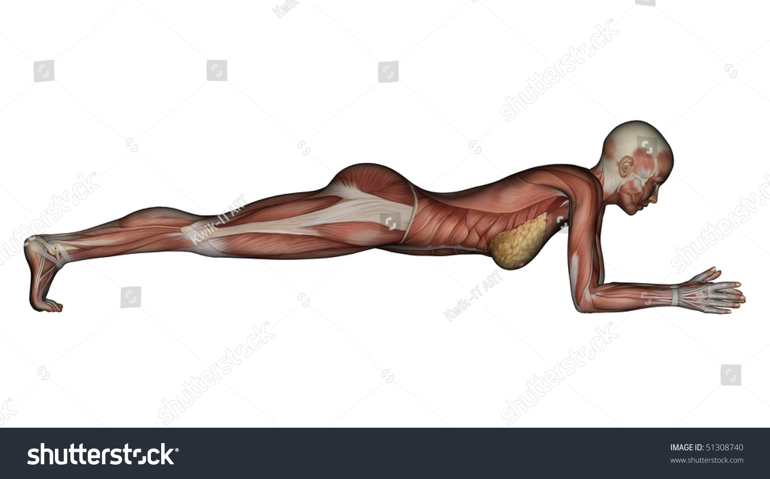 fluorine dating from Finnley yoga dolphin pose naked