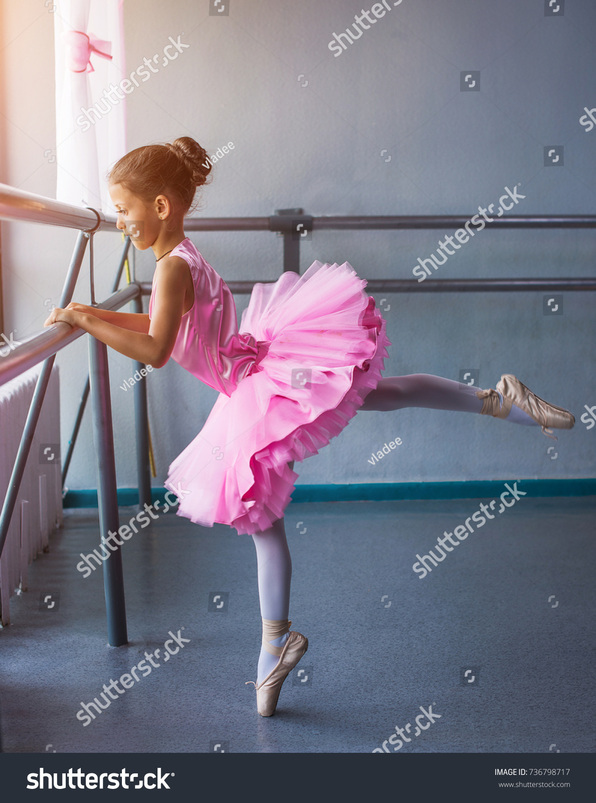 Young Pink Ballet Tutu Dancing Stock Photo (Edit Now) 736798717