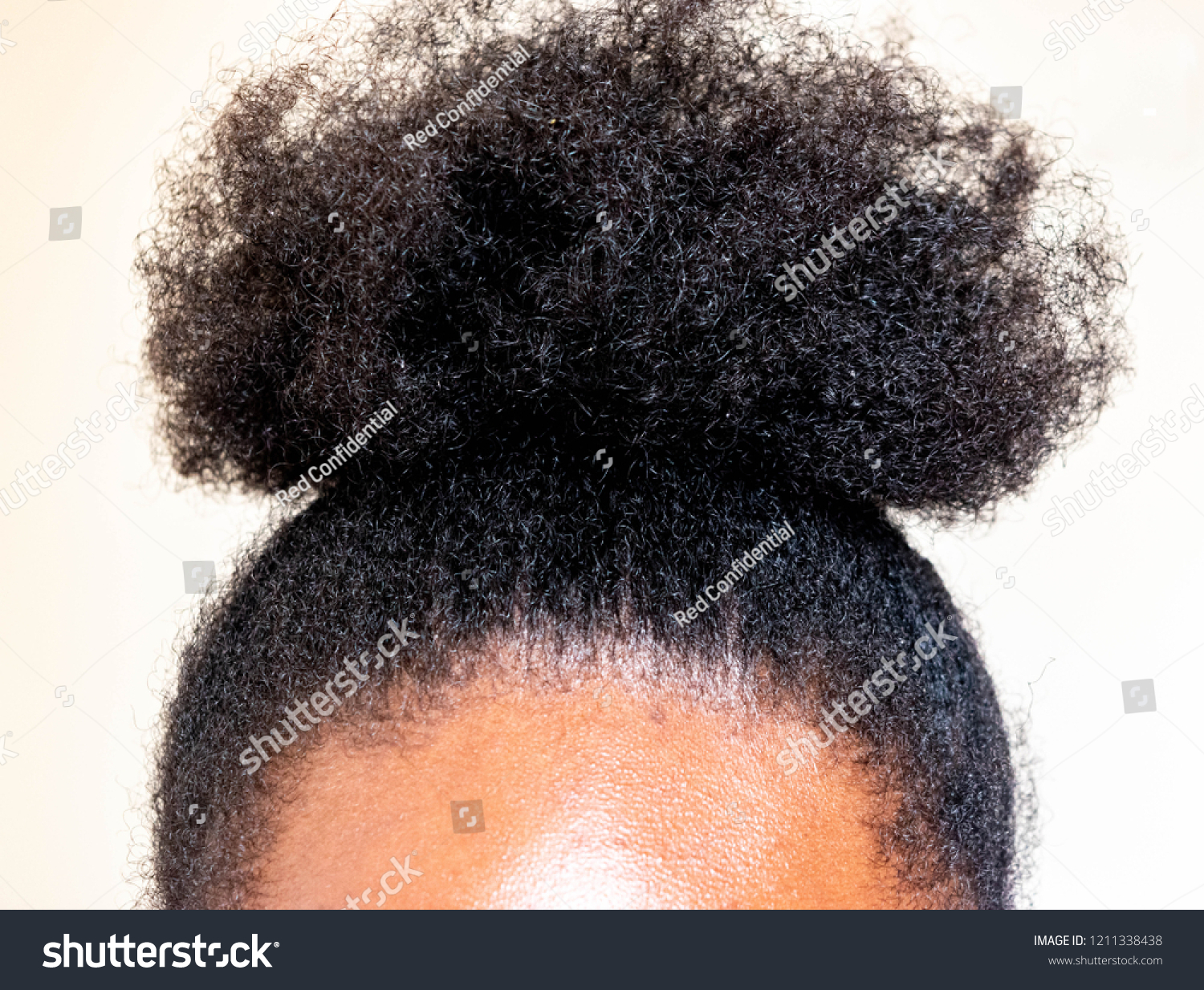 Young Beautiful Black Girl Natural African Stock Image Download Now