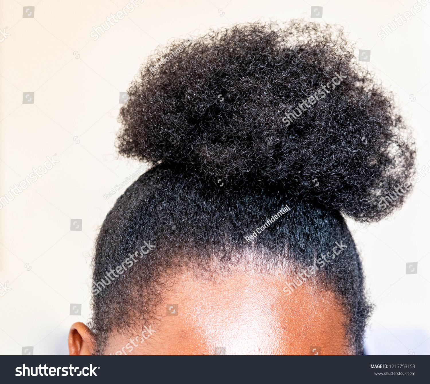 Young Beautiful Black Girl Natural Afro People Beauty Fashion