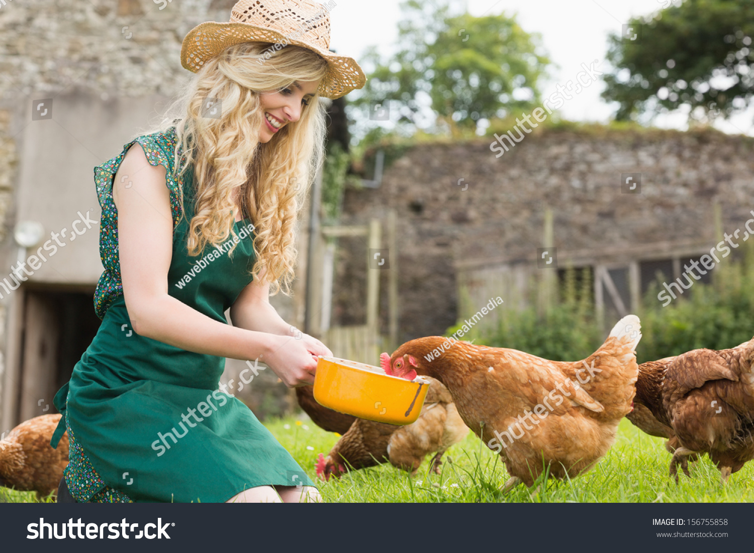  Coral Classic  Template Design Featuring Young Blonde Feeding her Chickens