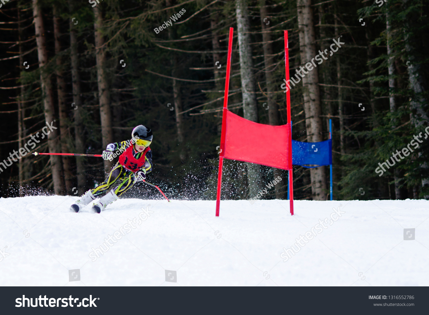 ski catsuit