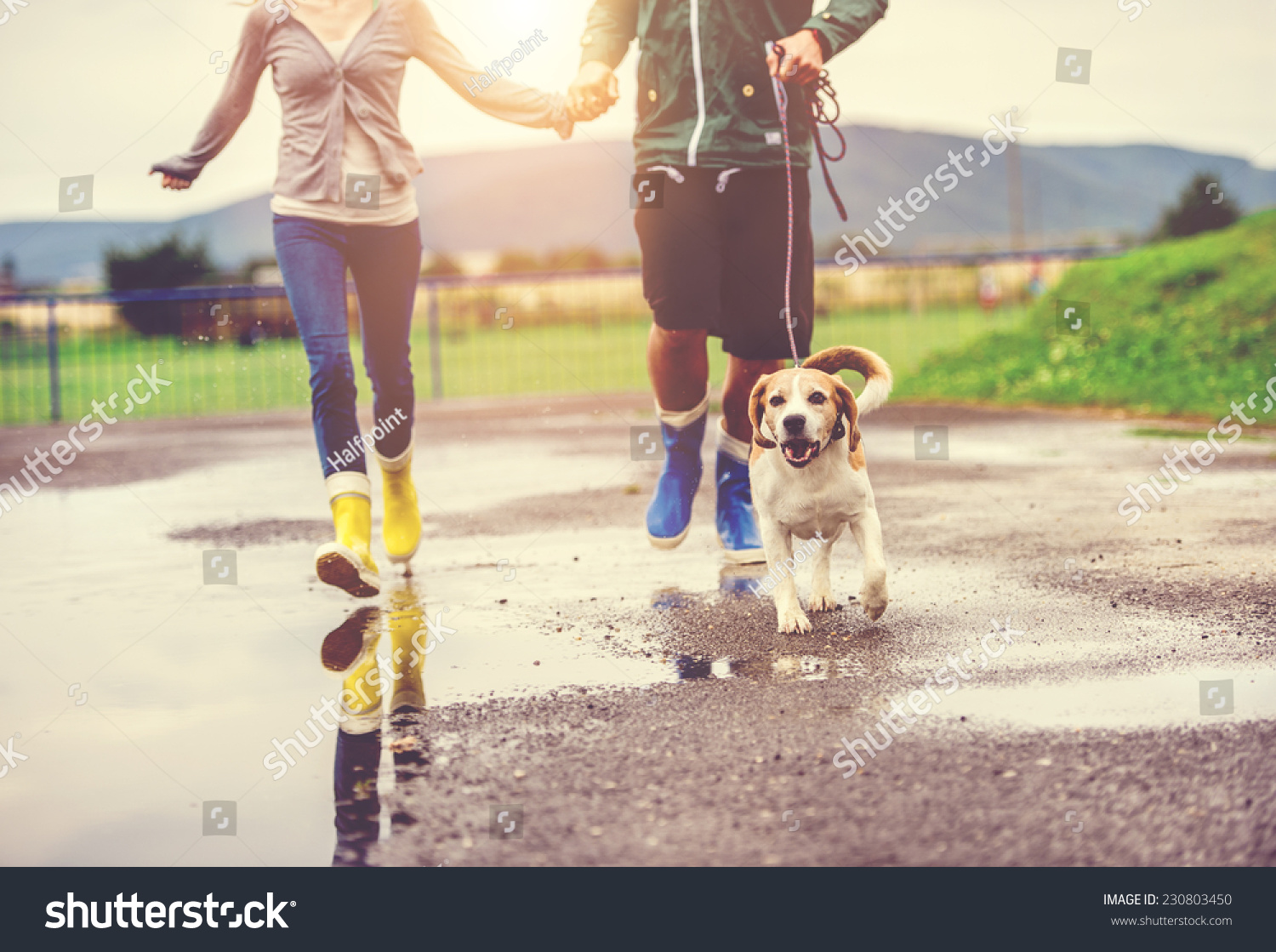 dog walking wellies
