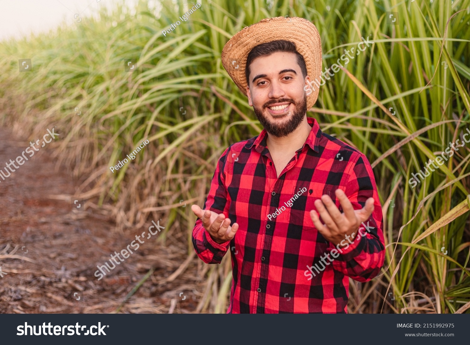 young-farm-worker-calling-come-here-stock-photo-2151992975-shutterstock