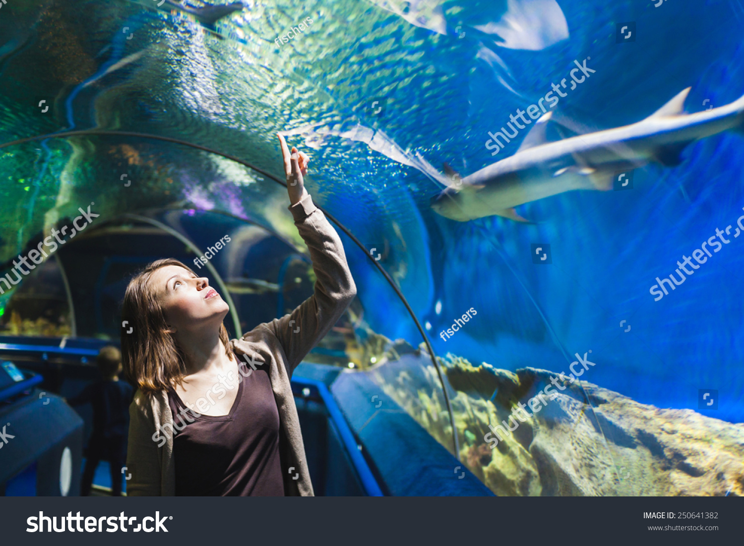 Aquarium tunnel Images, Stock Photos & Vectors | Shutterstock