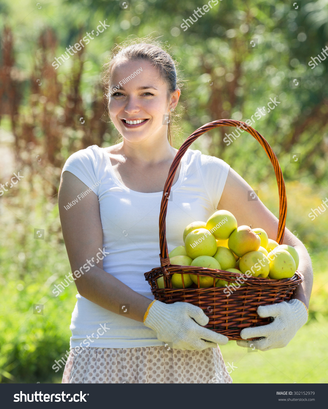 Young Girl Picking Apples Basket Orchard Stock Photo Edit Now