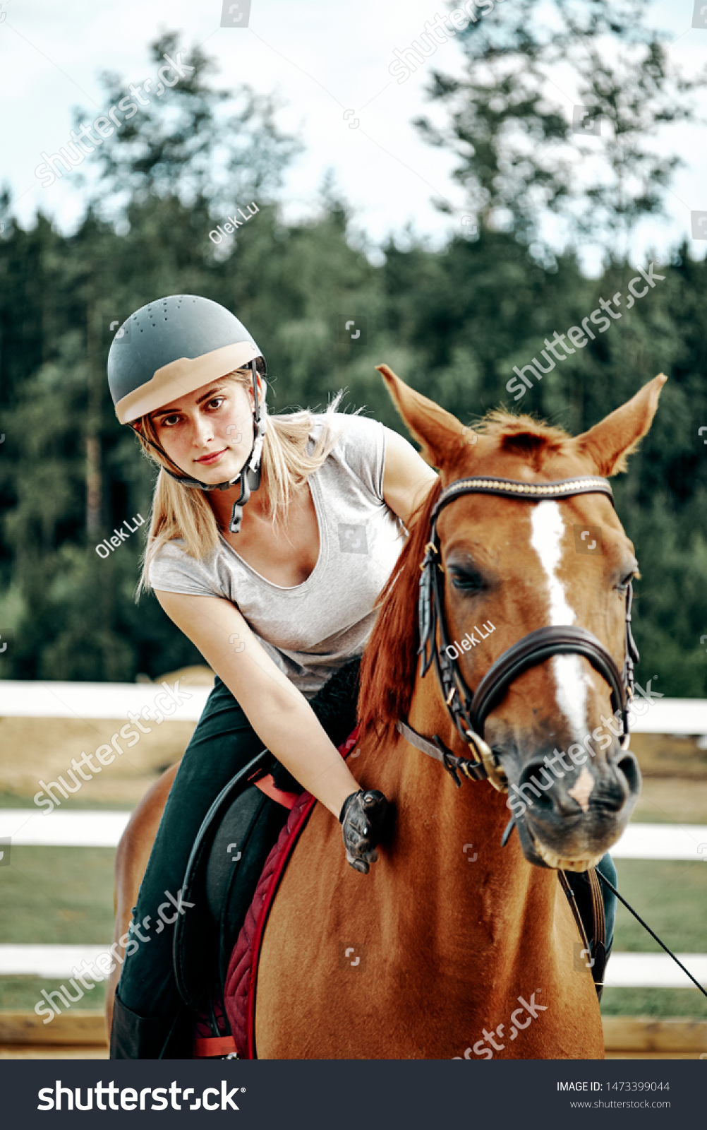 Young Girl Rider Equipment On Horseback 