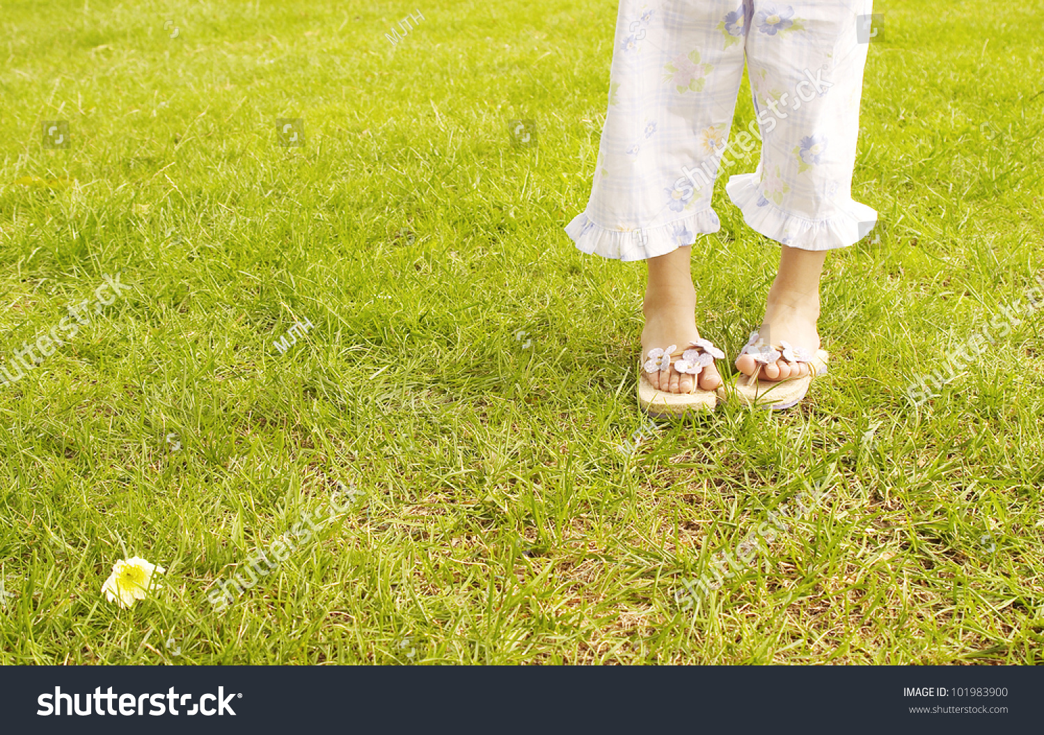 Young Girls Feet Wearing Summer Sandals Stock Photo 101983900 ...