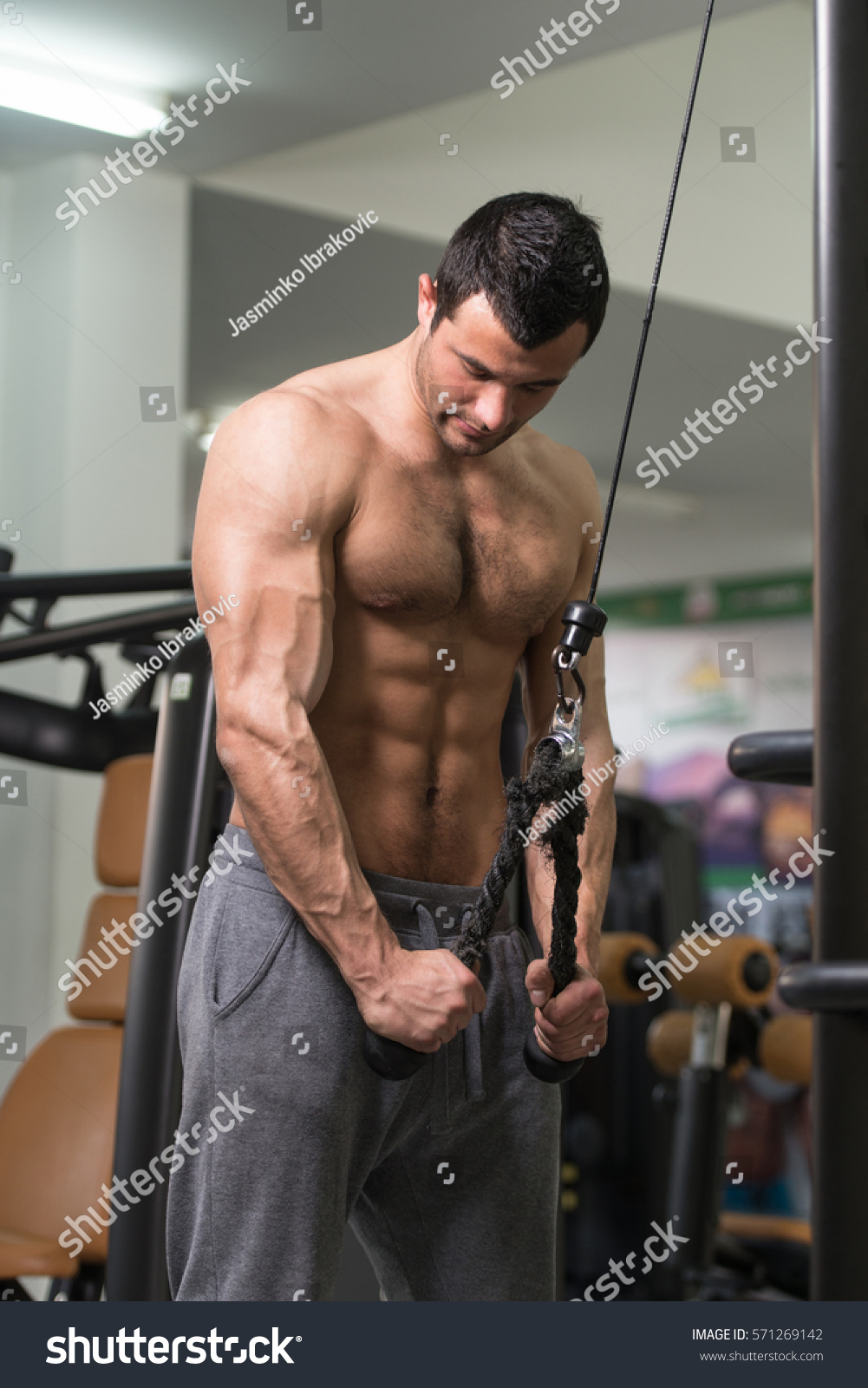 Men hairy muscle Tall Bodybuilders