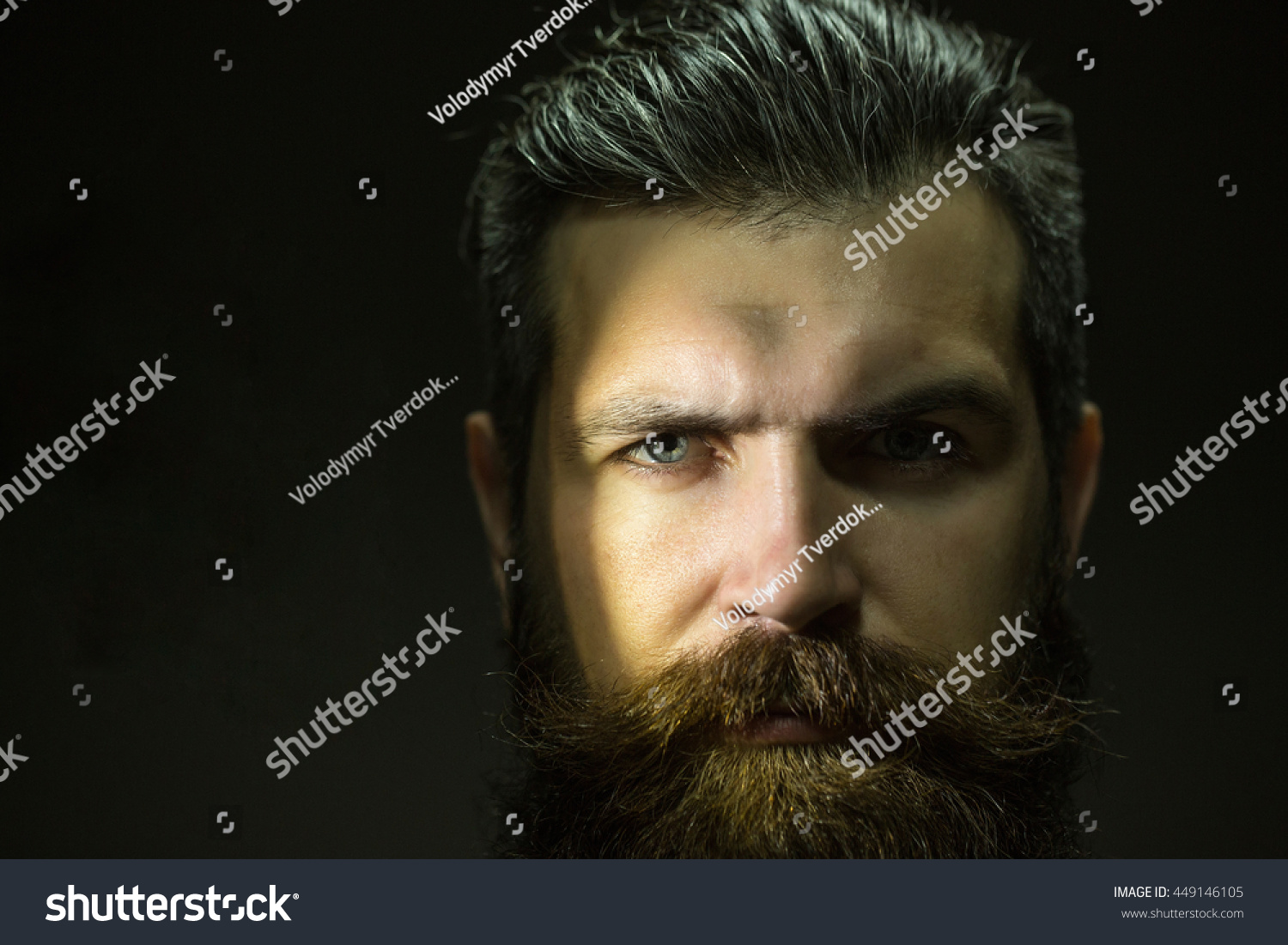 Young Handsome Bearded Man Long Beard Stock Photo (Edit Now) 449146105