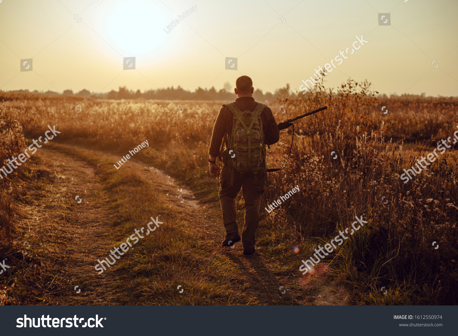 143 015 Field hunting Images Stock Photos Vectors Shutterstock 143 015 Field hunting Images Stock Photos Vectors Shutterstock